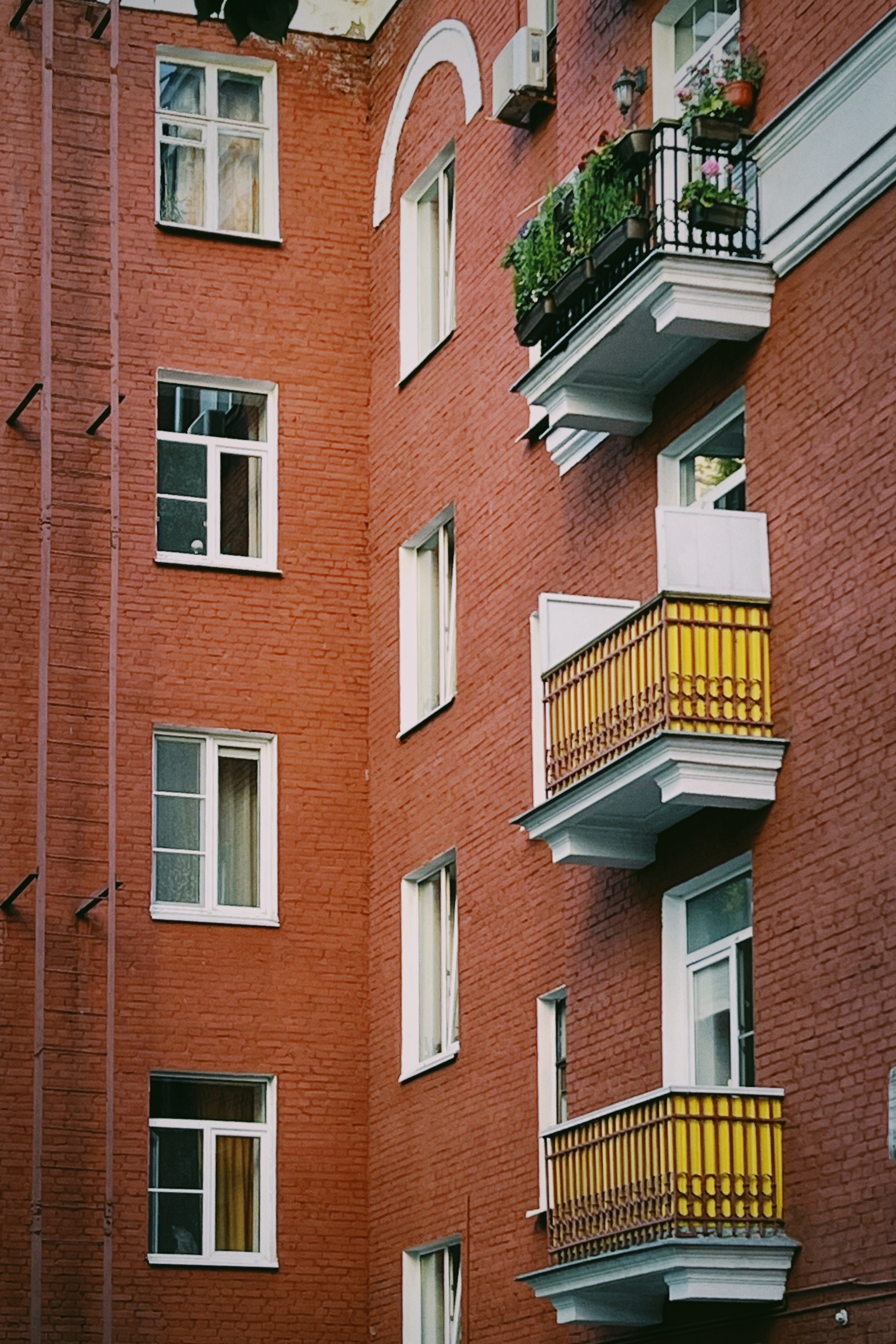 Лучшие фото, снятые на iPhone