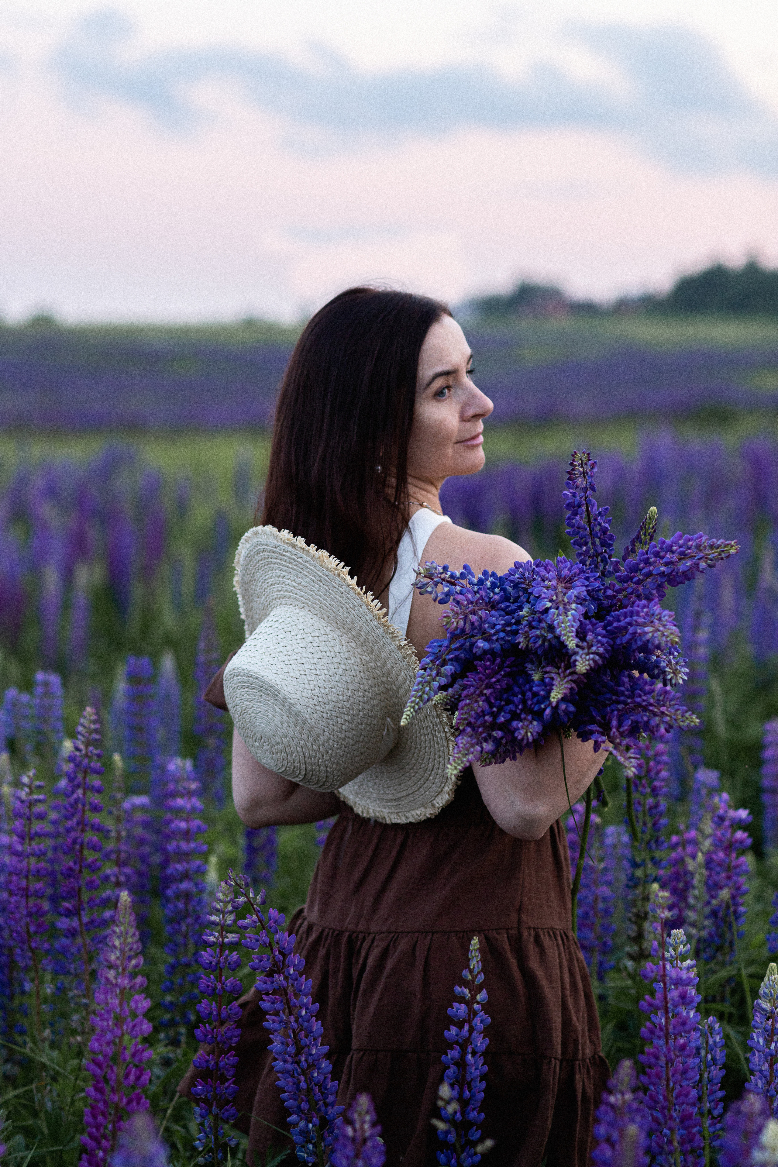 Люпиновое поле. Фотограф Вера Кузмина