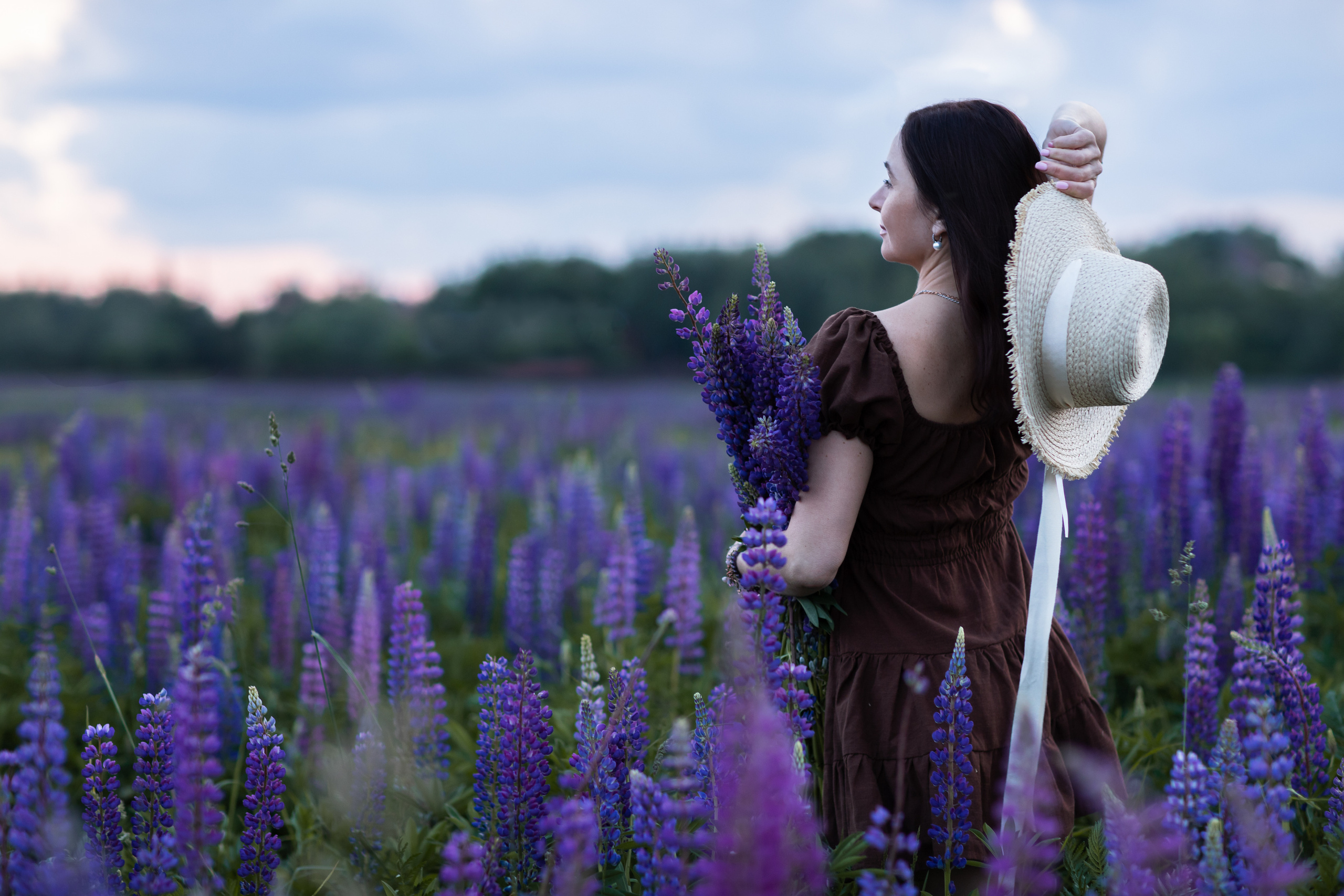 Люпиновое поле. Фотограф Вера Кузмина