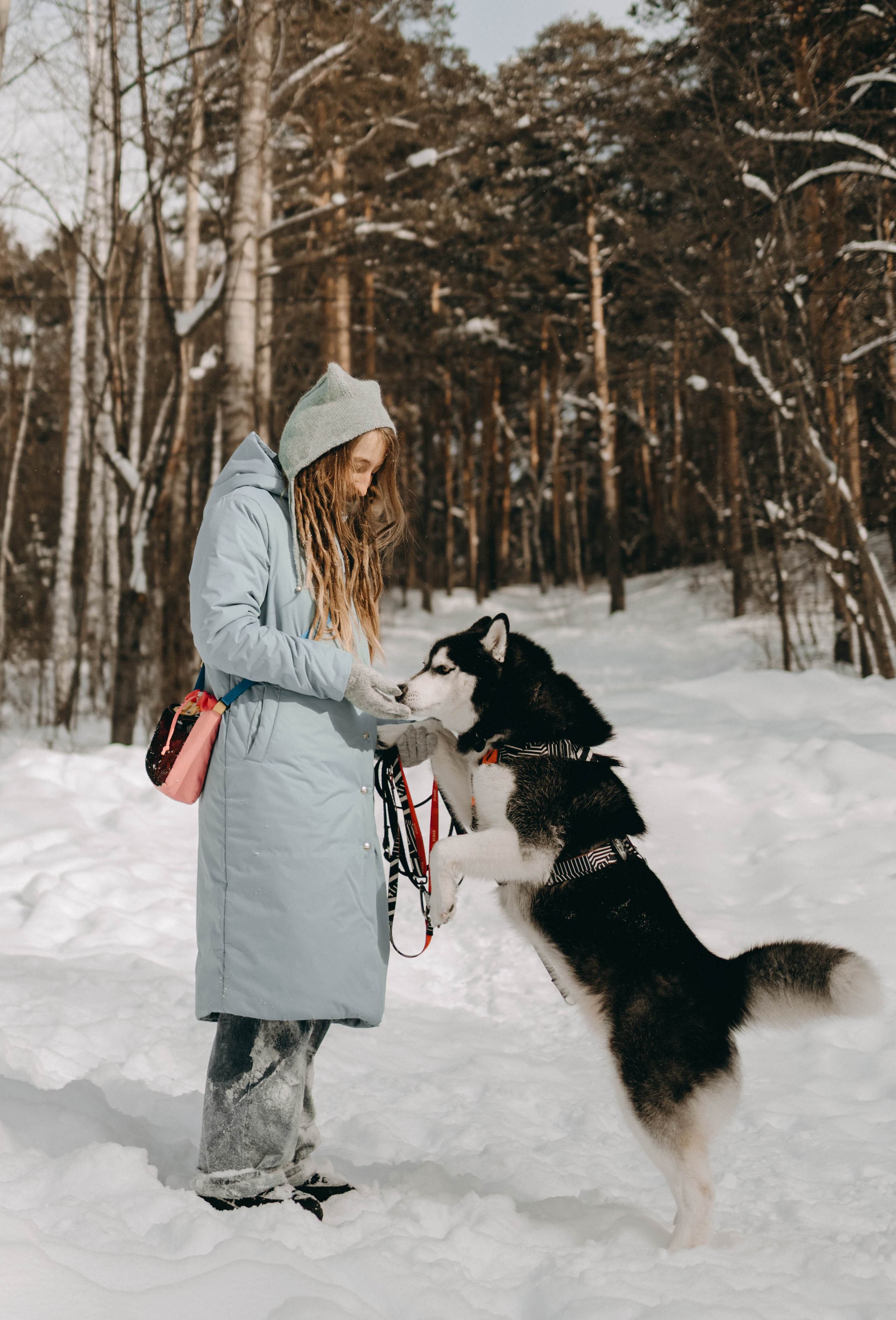 Анна и Вегас. Фотограф-анималист в Екатеринбурге | Кристина