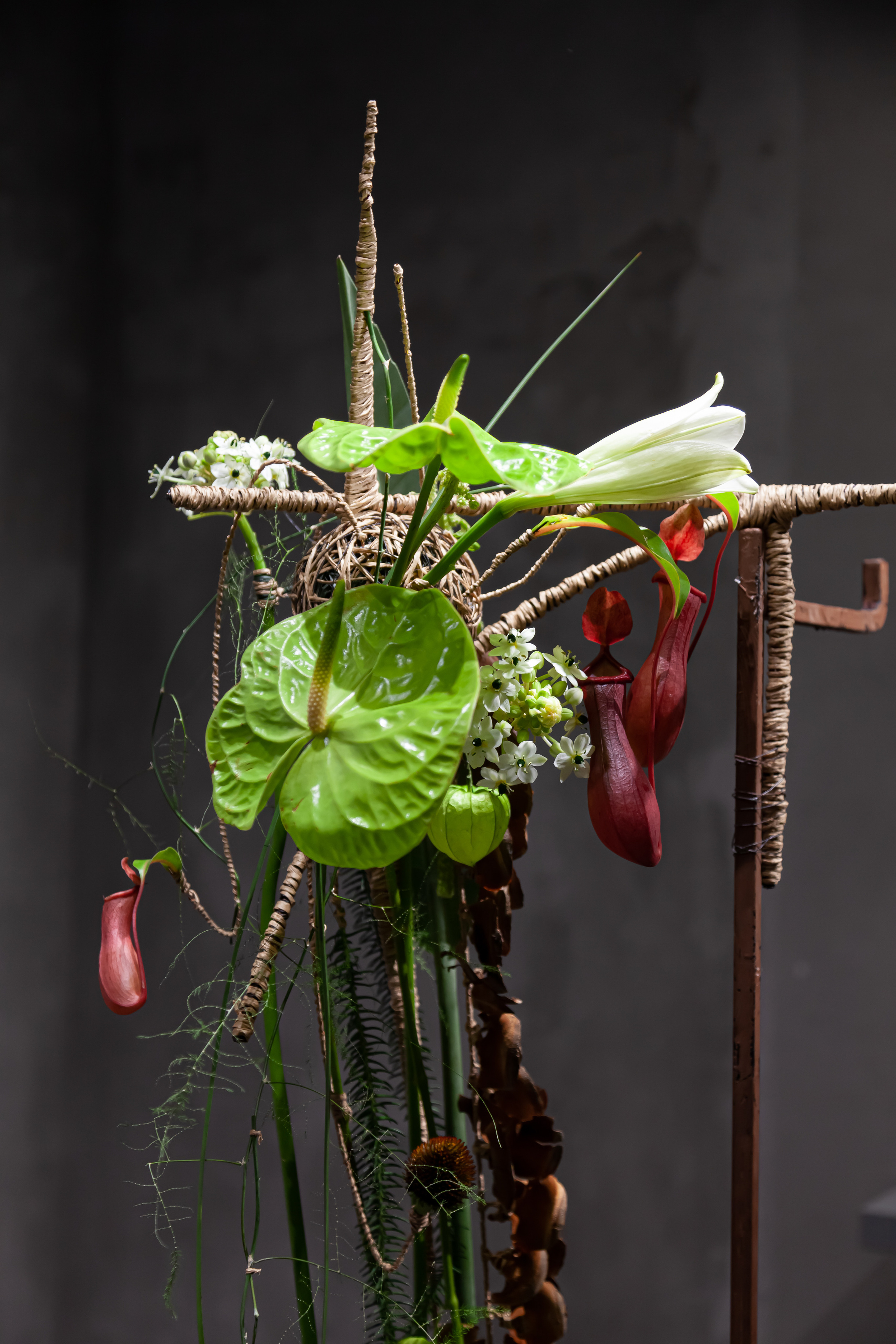 Флористическая работа со смещенным фокусной зоны. Maria Poleshchuk, commercial photographer in Sydney