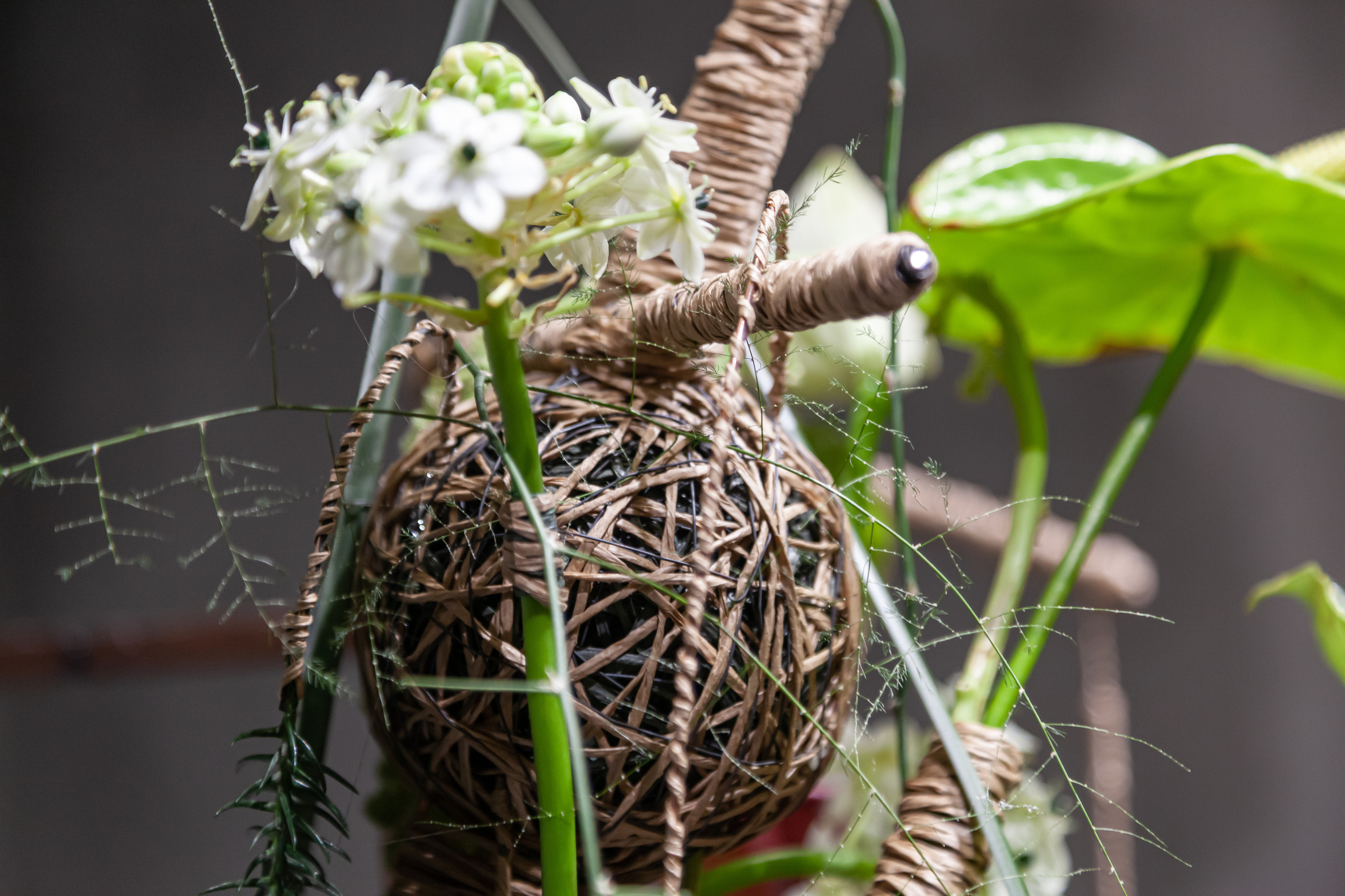 Флористическая работа со смещенным фокусной зоны. Maria Poleshchuk, commercial photographer in Sydney