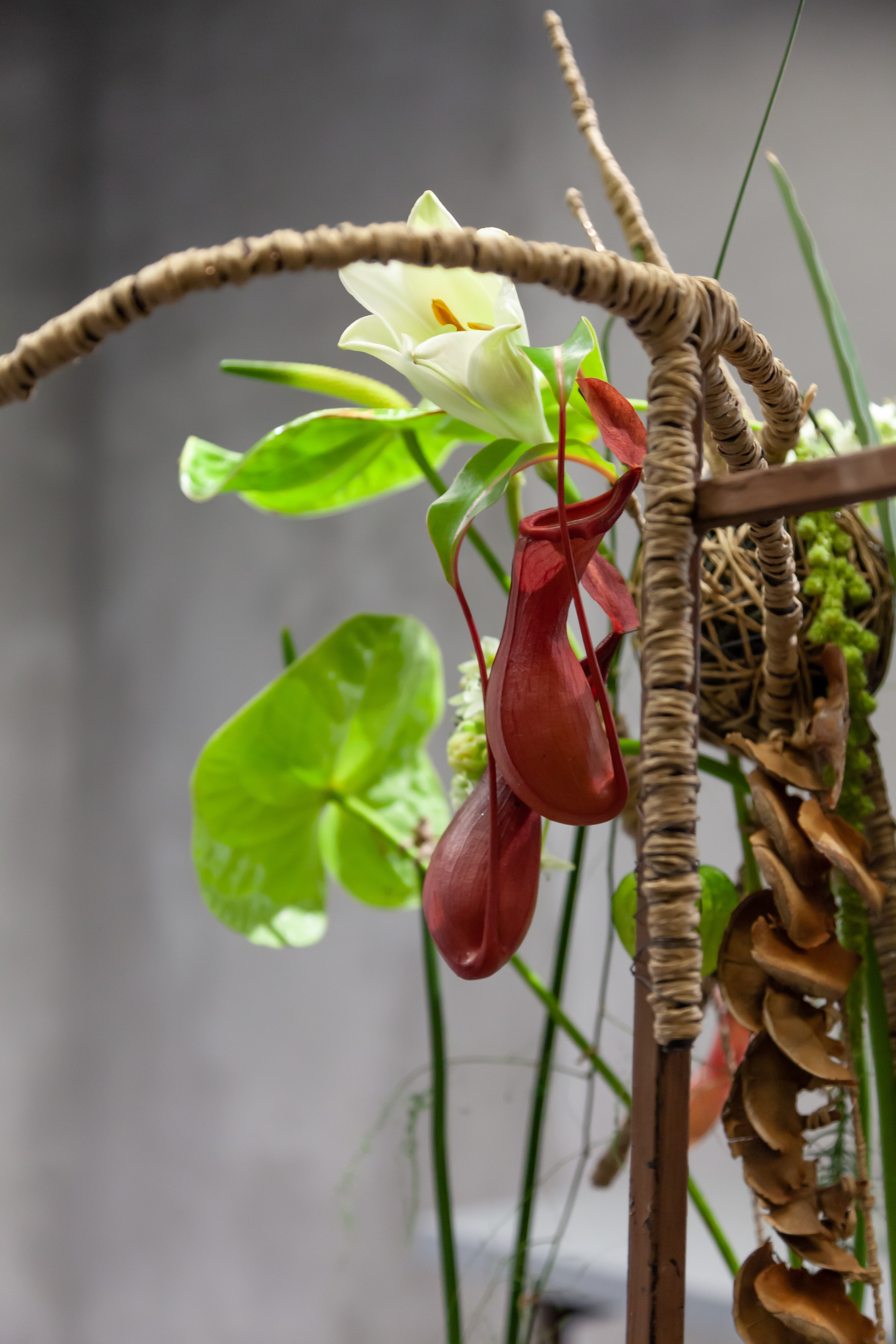 Флористическая работа со смещенным фокусной зоны. Maria Poleshchuk, commercial photographer in Sydney