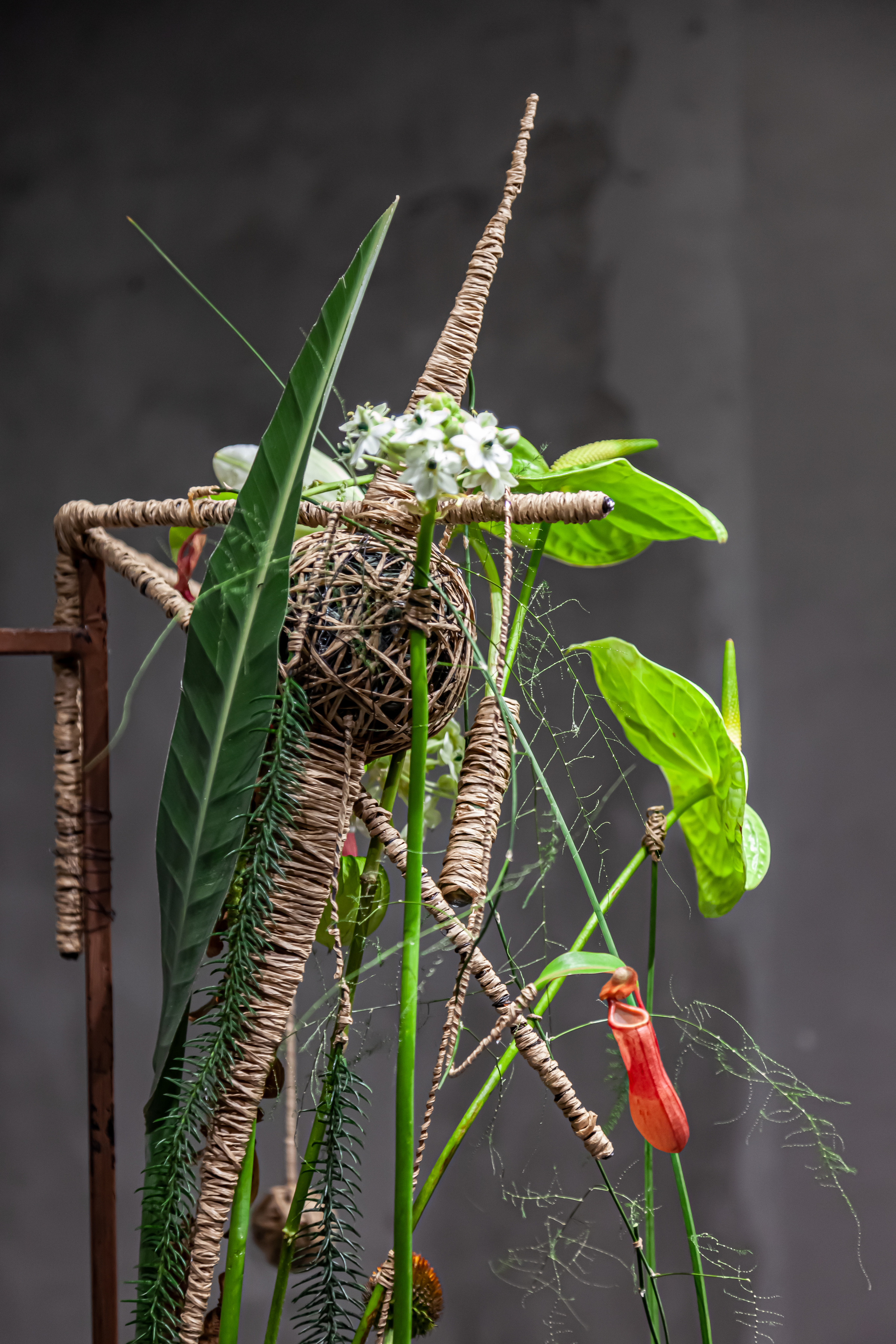 Флористическая работа со смещенным фокусной зоны. Maria Poleshchuk, commercial photographer in Sydney