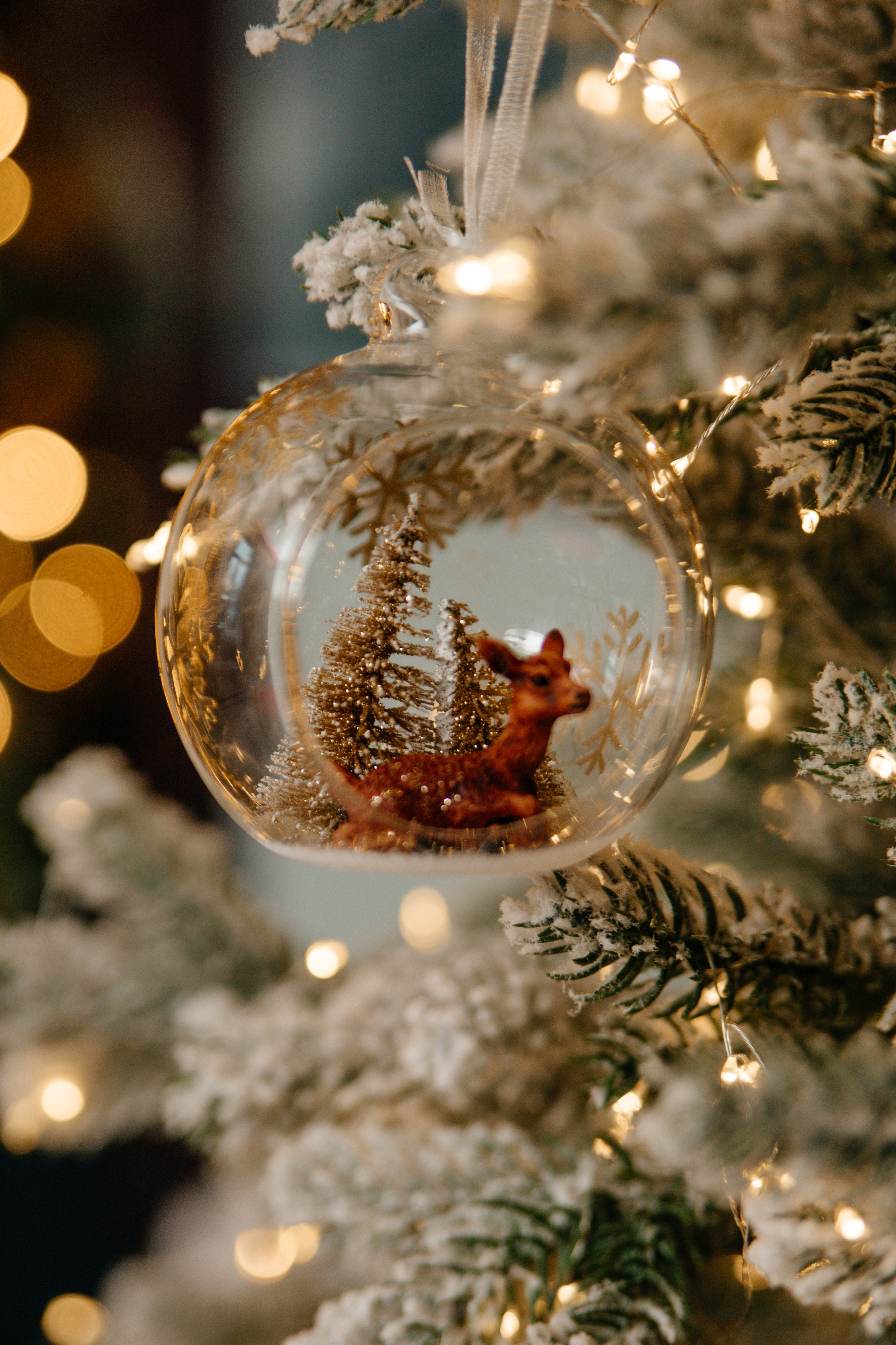 Новый год. Фотограф в городе Лыткарино Волкова Ольга