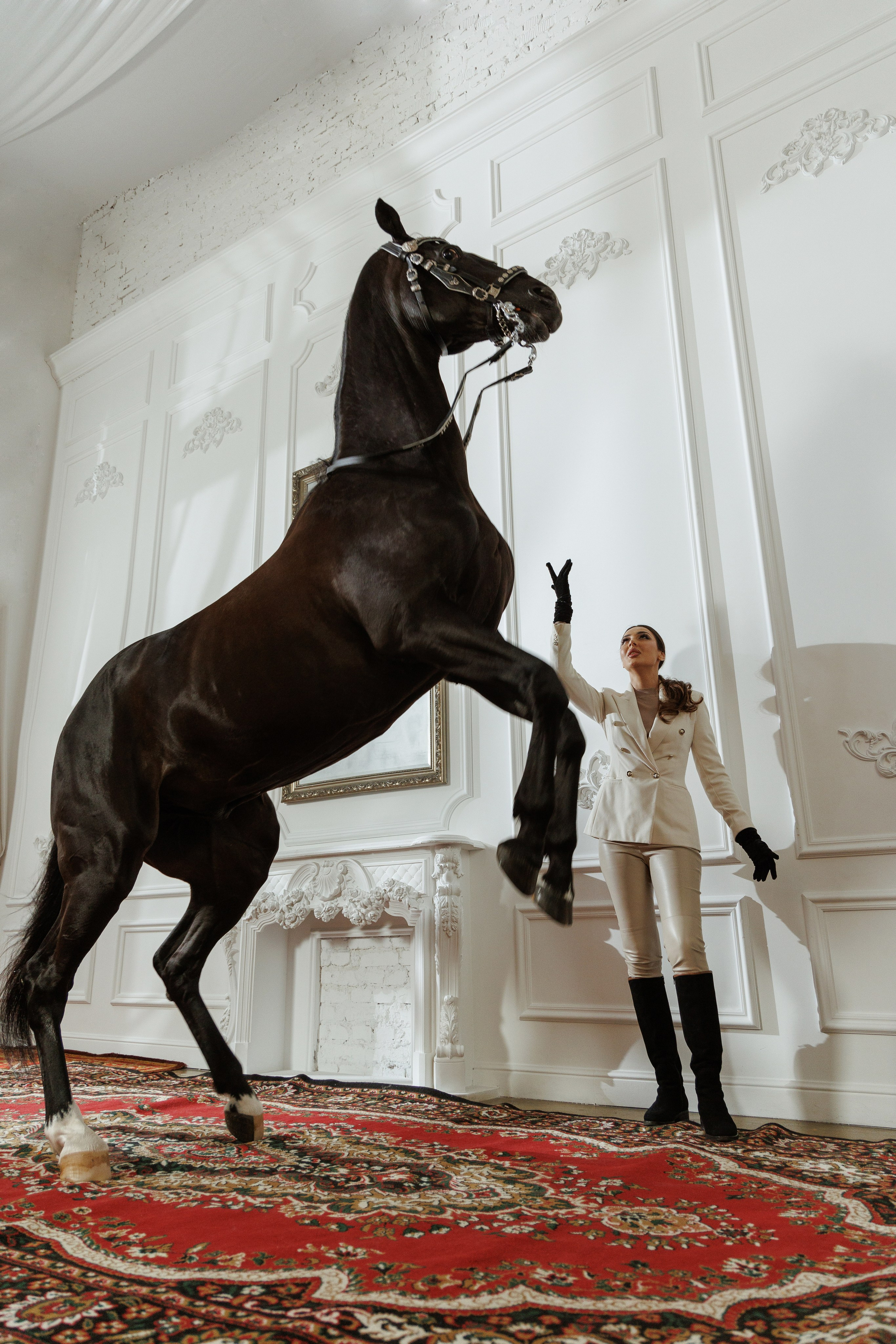 Лошадь в особняке. Марковкина КрисТина