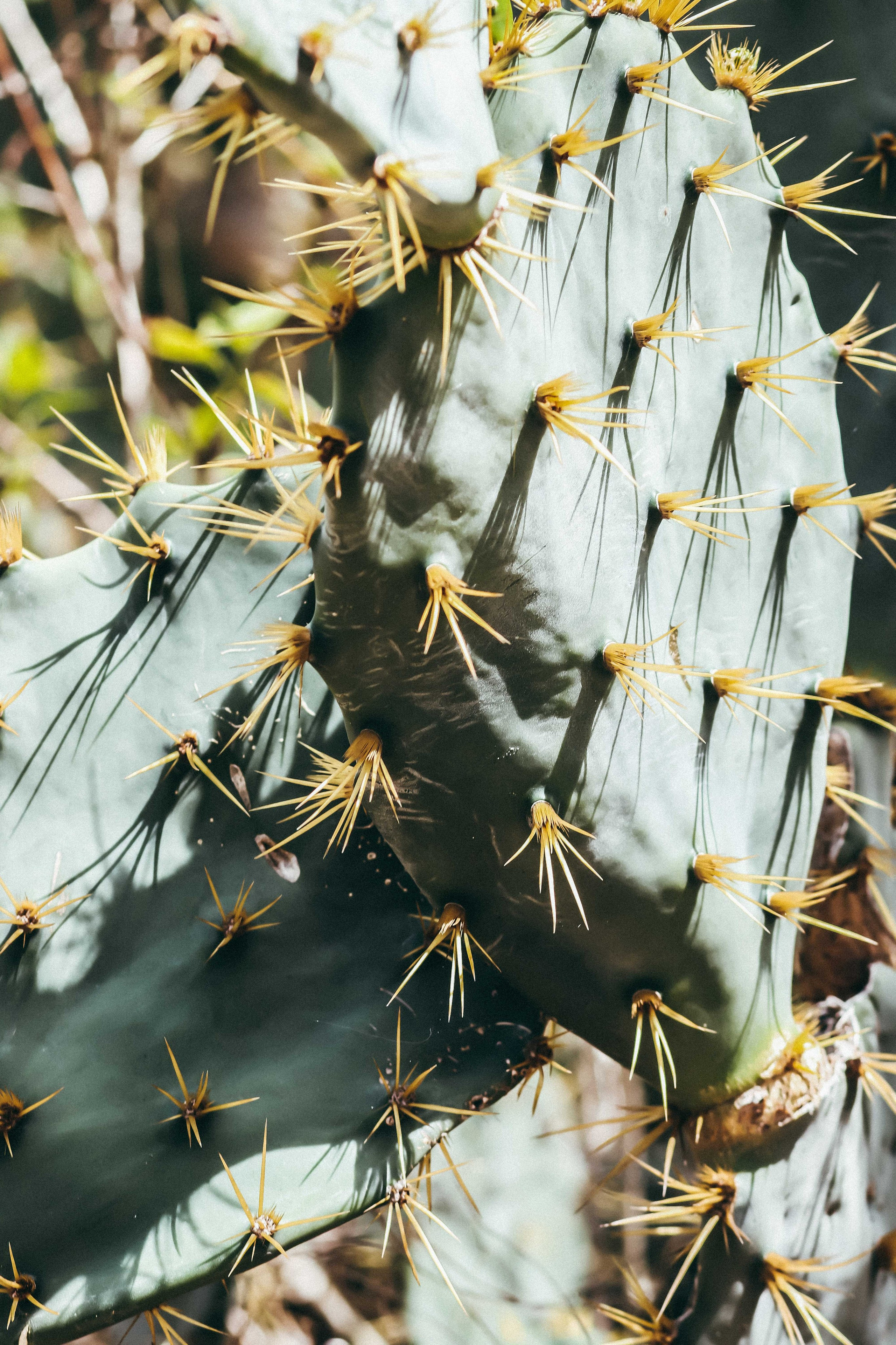 Коллекция украшения из натуральных камней. Фотограф на Шри-Ланке