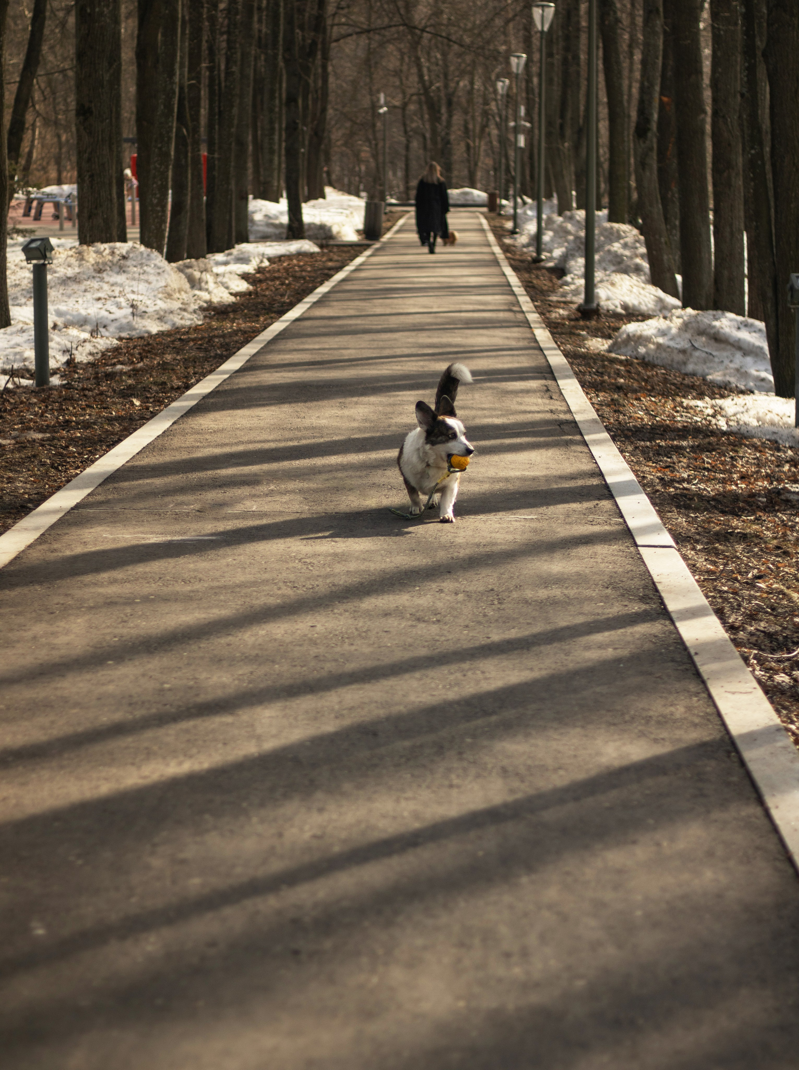 Юлия и Тэя. Катя Попова|ЛайфСтайл фотограф