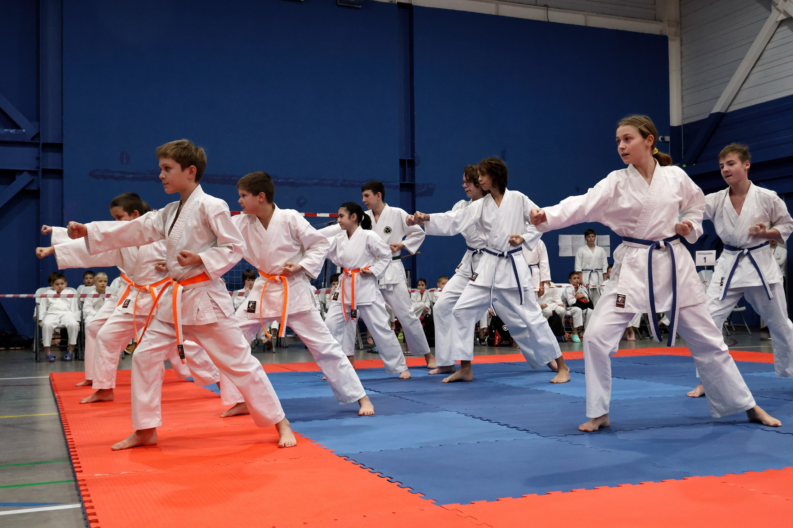 Чемпионат по Окинава Каратэ (Тэгуми). Спортивный и репортажный фотограф Ермакова Светлана