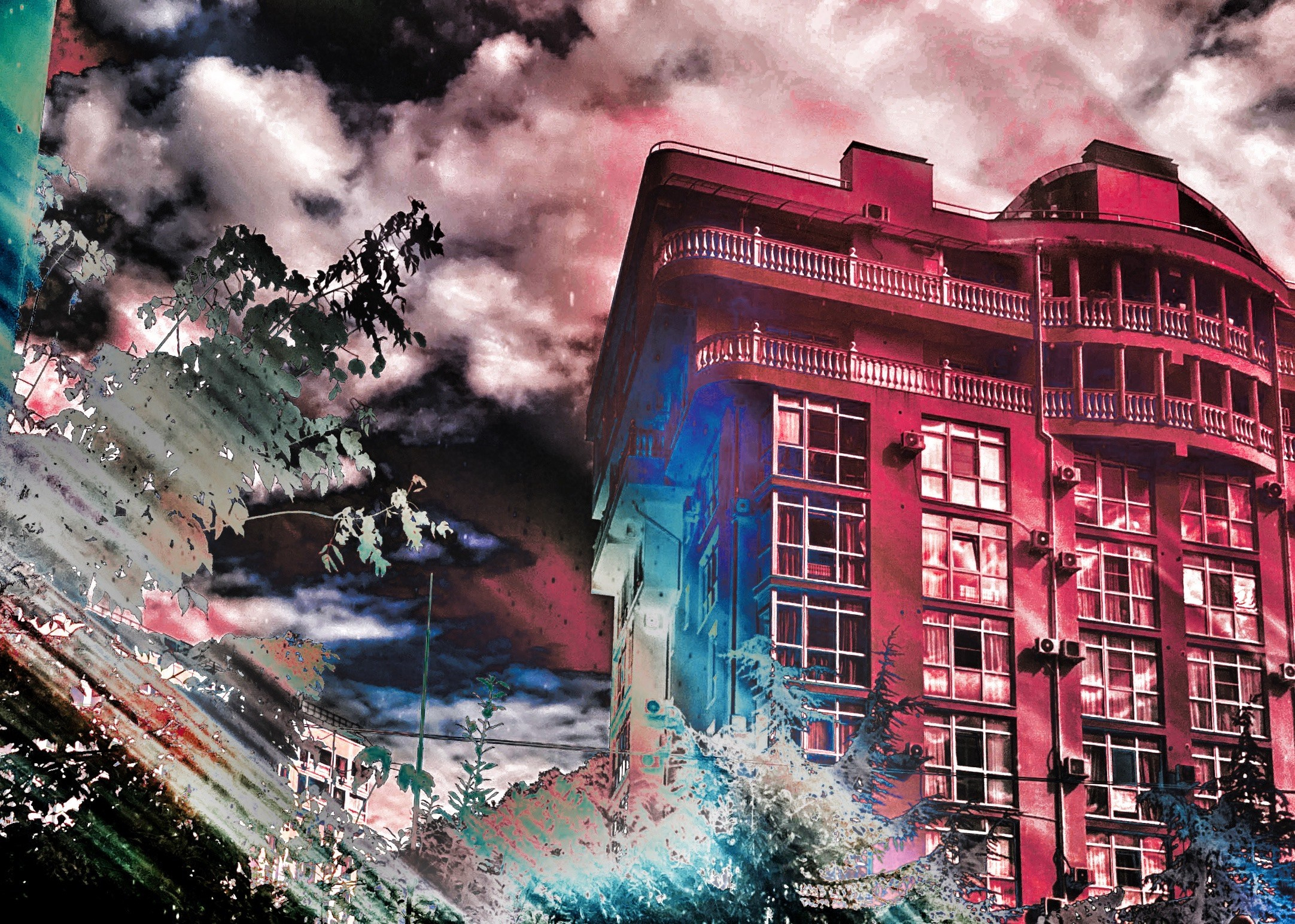 Портрет. Фотограф • Елена Миронова