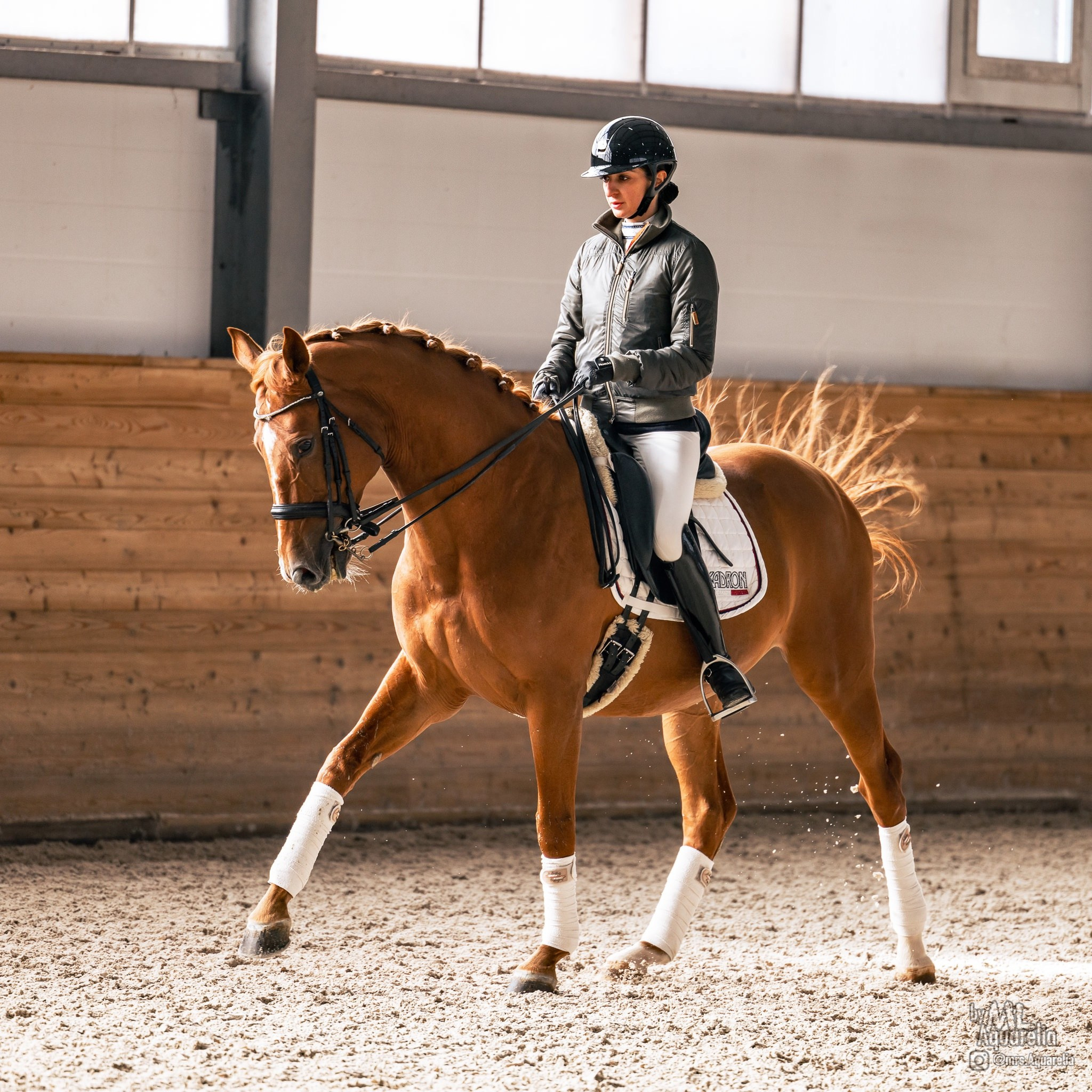 Seminar 5 July Evaluating gates in dressage. Liana Antanovich | Equestrian Strategies