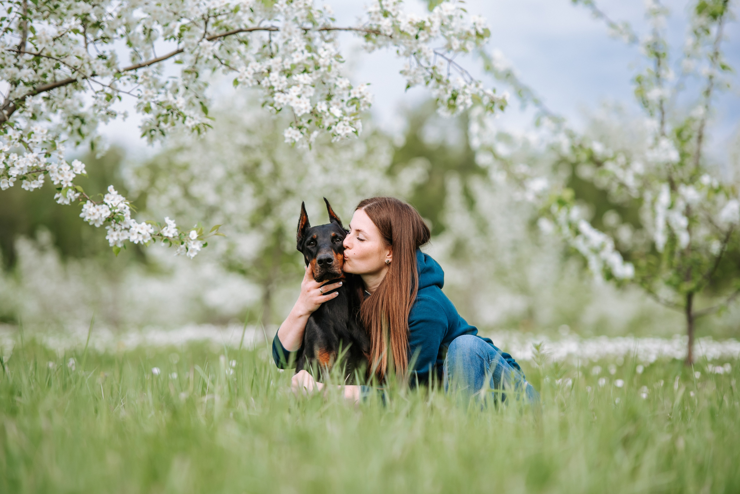 Цветение с доберманами. Фотограф Диана Оленина Красноярск / Братск