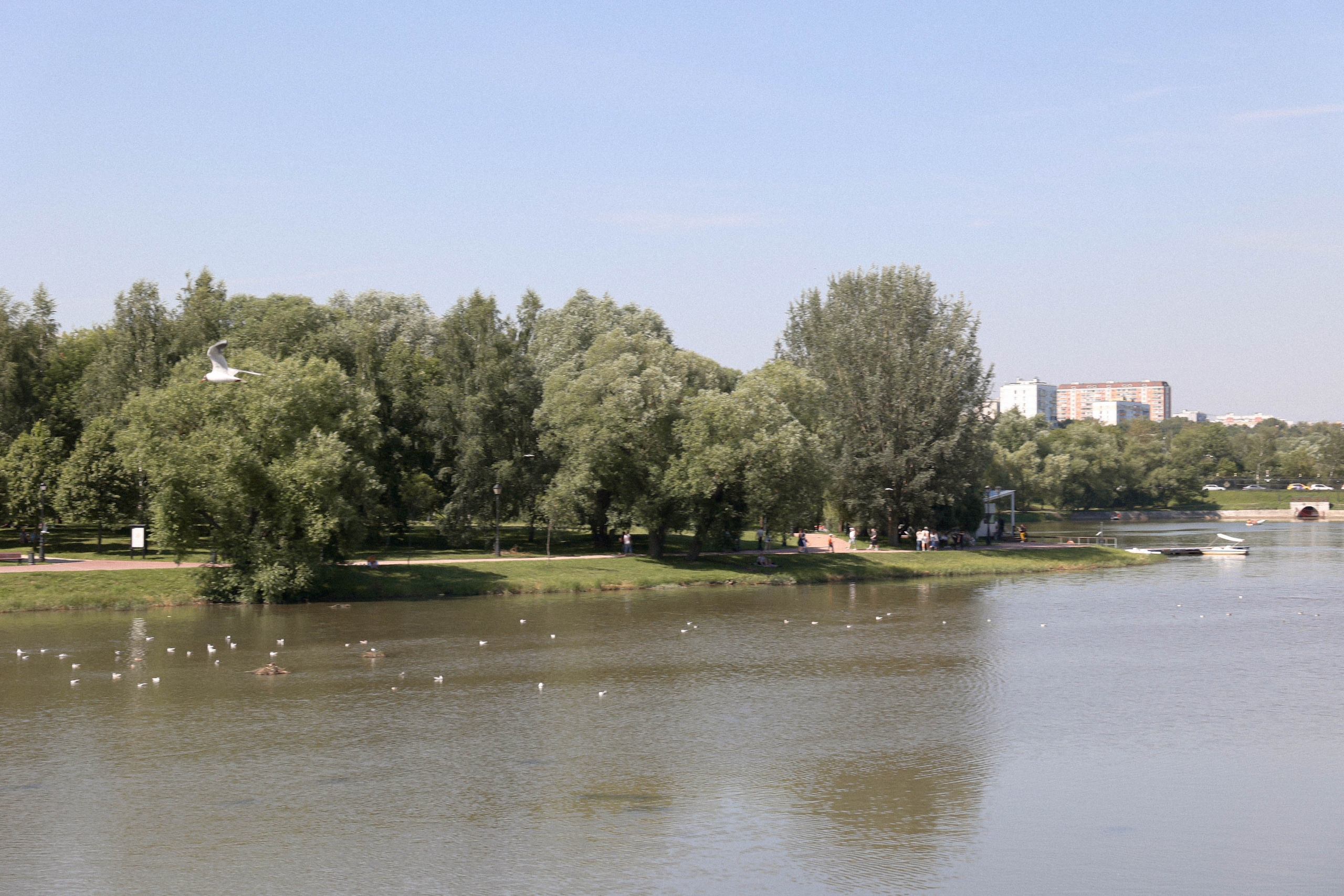 Виктория и Кирилл. Свадебный, репортажный, фотограф Москва и Московская область