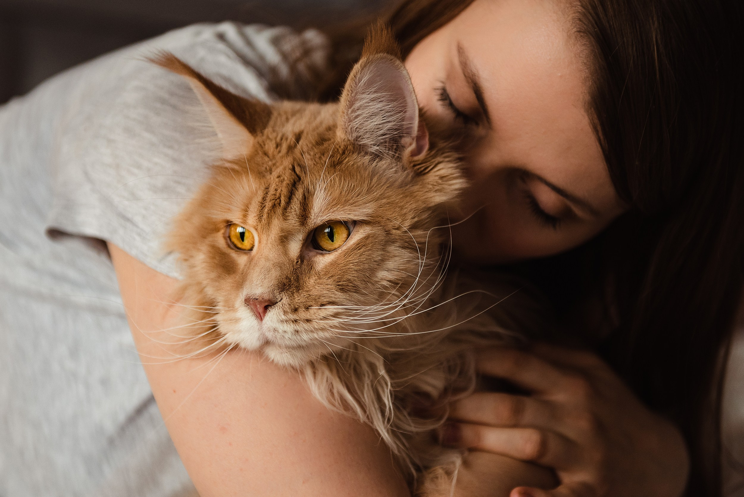 Алена, Виктор, Оливка и Ластик. Семейный Фотограф в Москве Ирина Хохлова