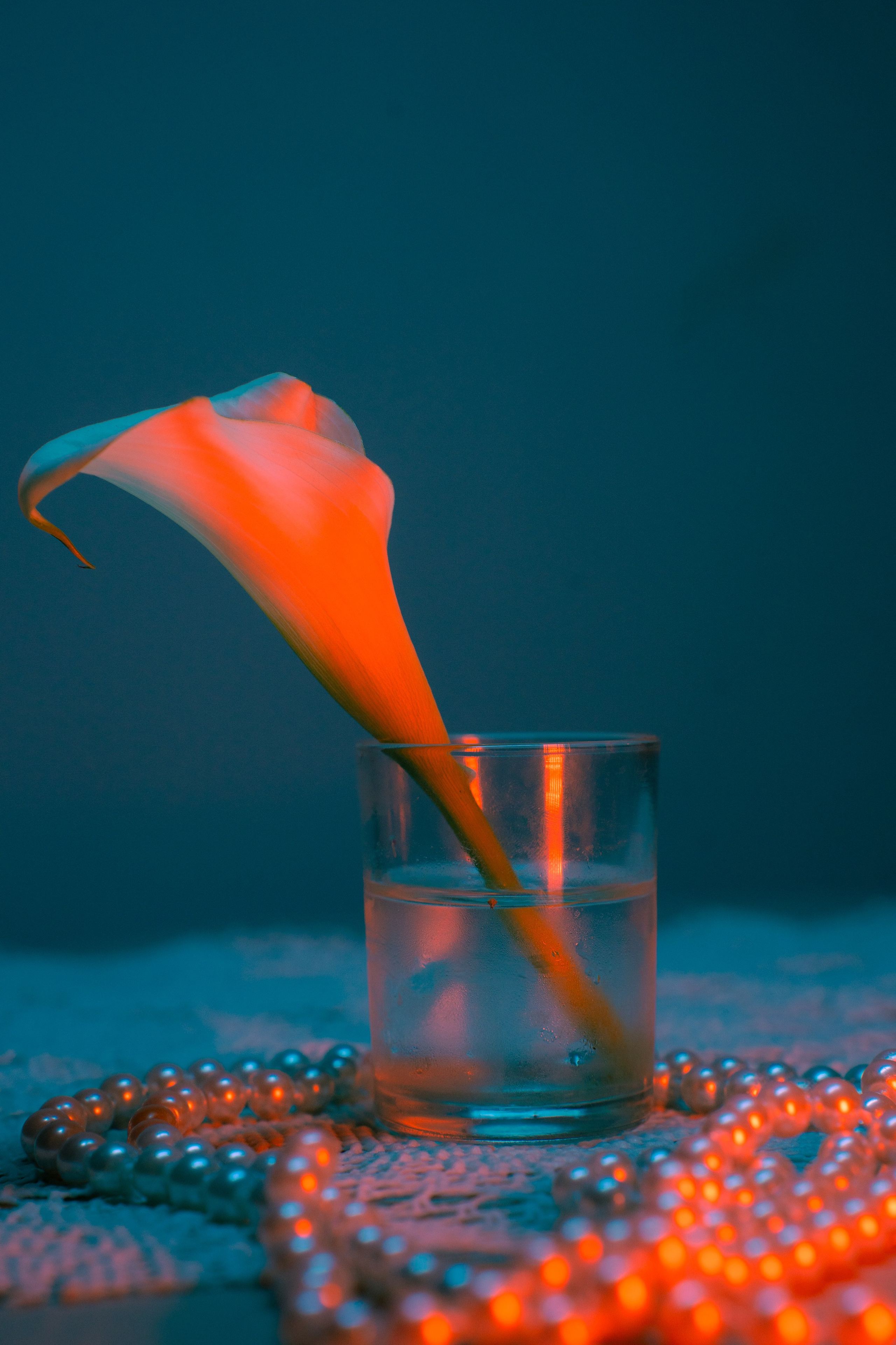 Практика. Фотограф Томск Новосибирск Елизавета Вахтеева