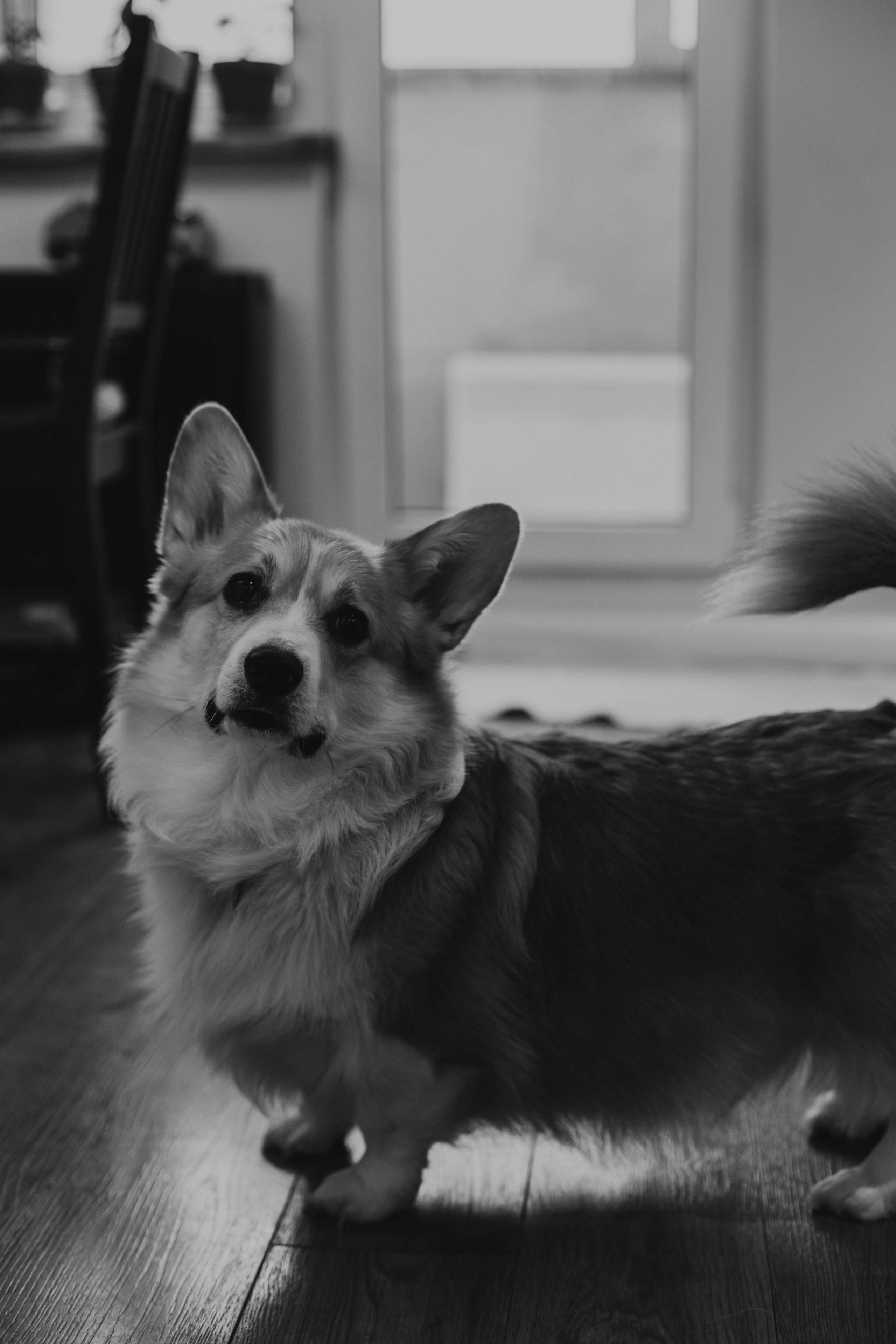 Лиза Коля Тимофей. Фотограф в Санкт-Петербурге Дарья Заплитная