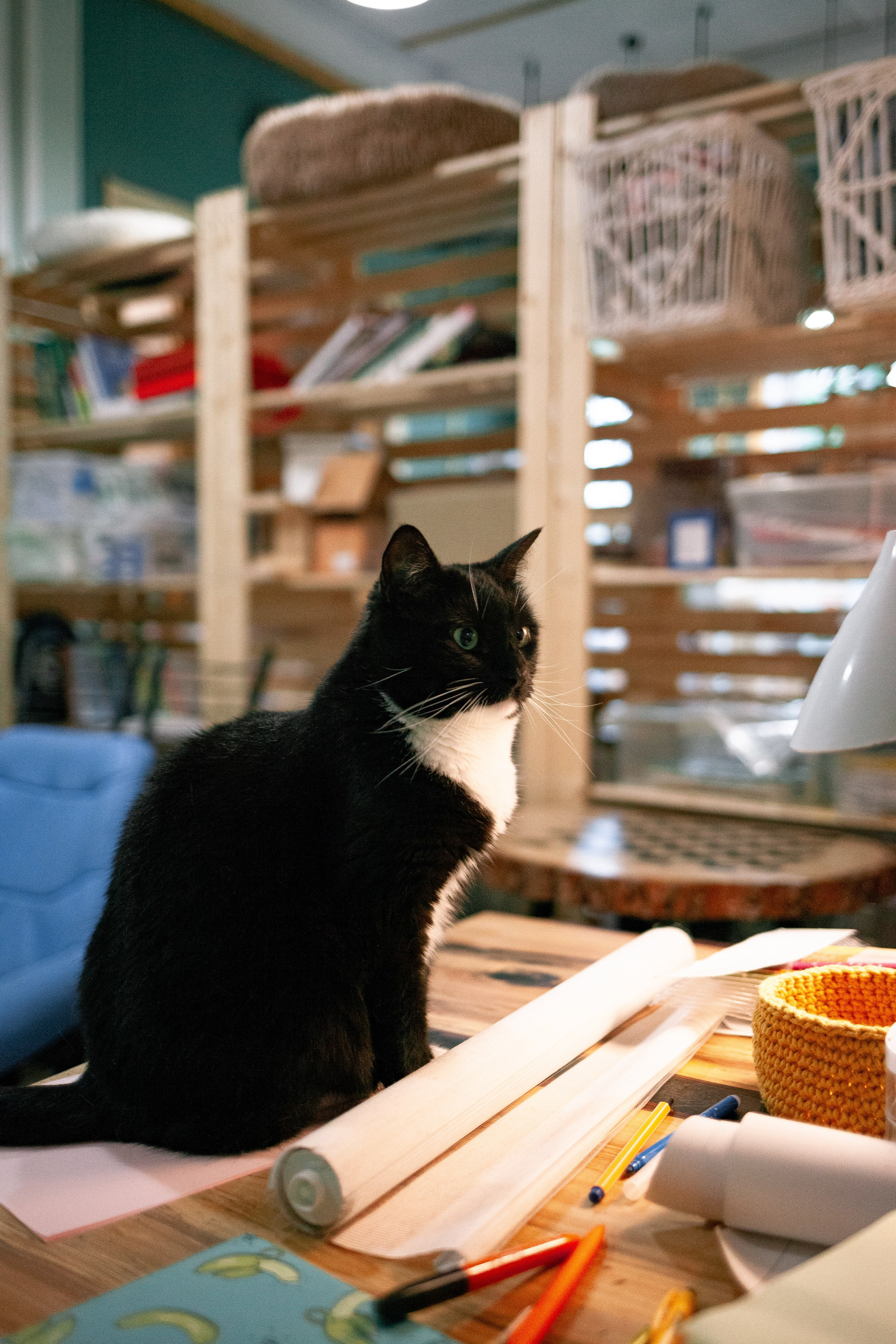 Котокафе Тушино