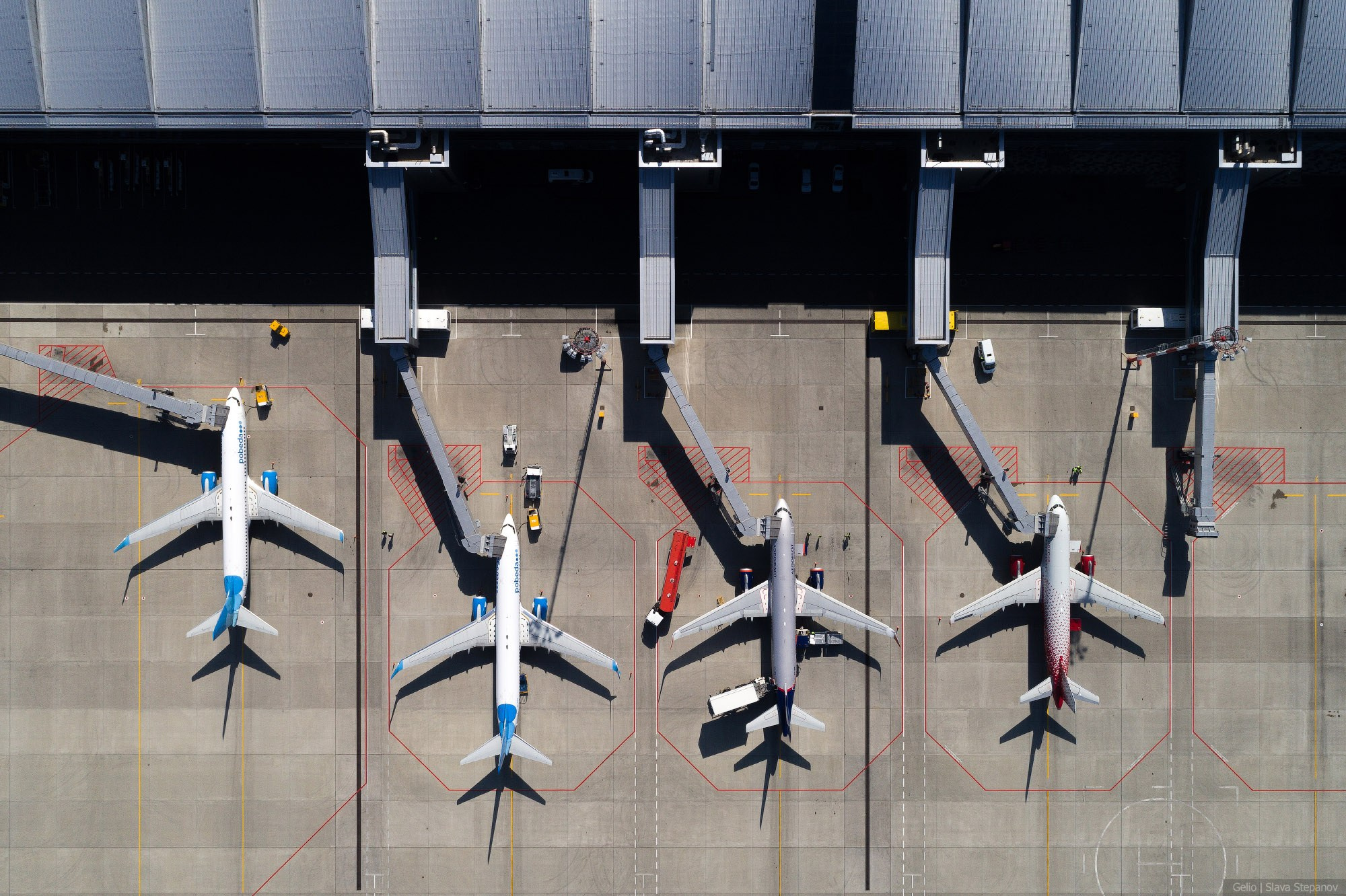 Аваиция. Фотограф Слава Степанов, Gelio