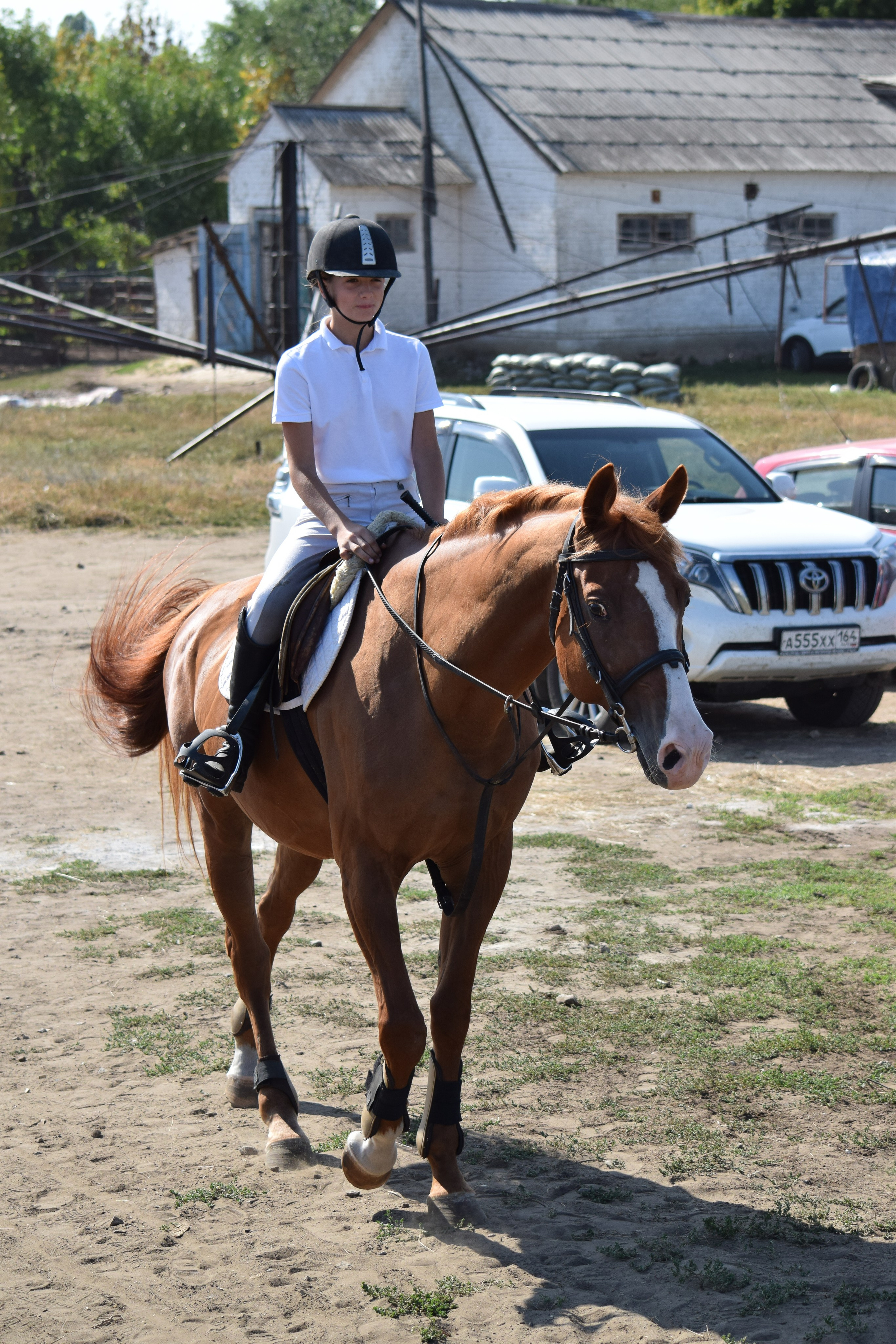 Кубок Губернатора, ипподром Саратов, 2019 г. Конный фотограф в Саратове Юлия Иванова