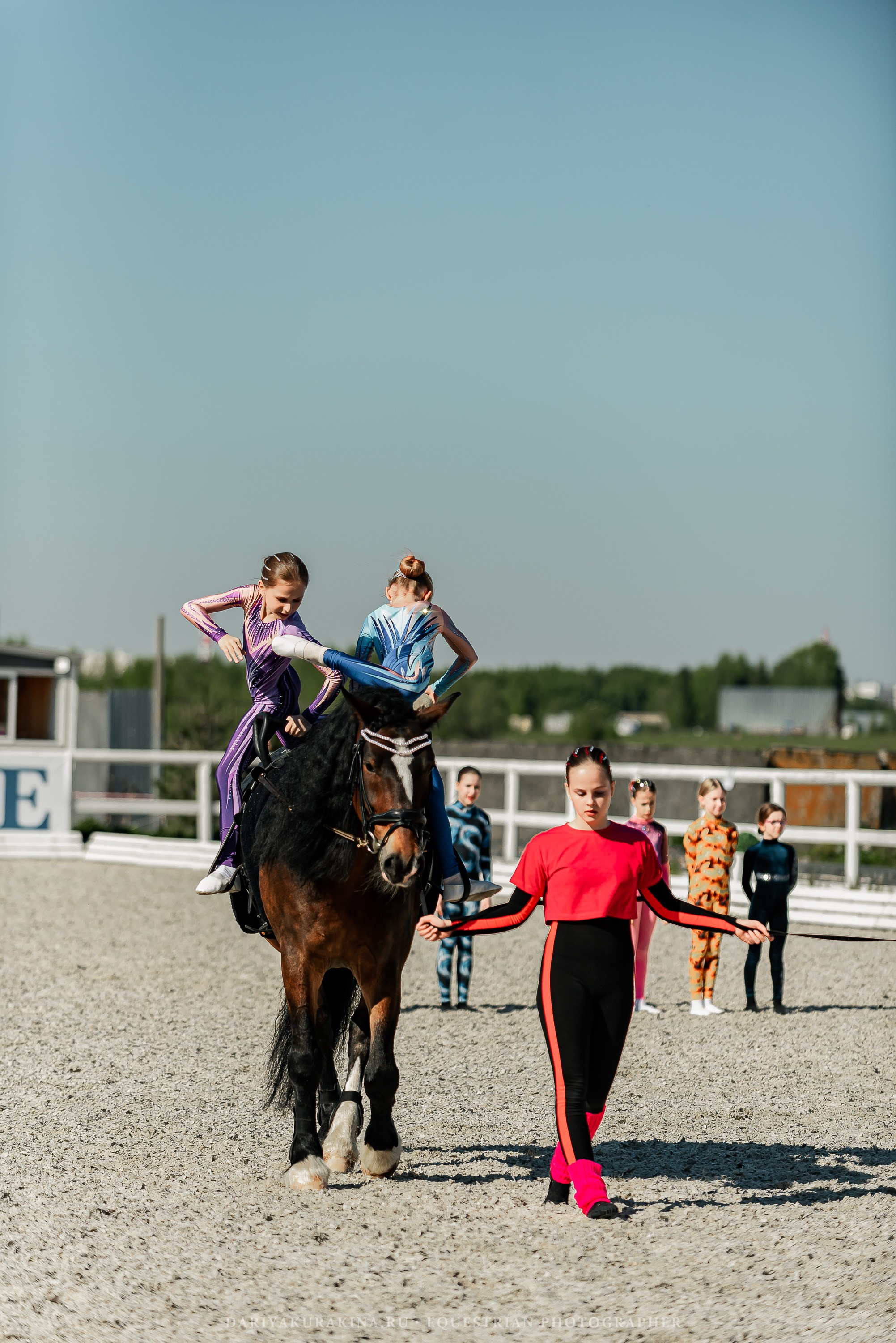 РЕПОРТАЖ МКК ВОЛЬТ «LA TULIPS». Конный фотограф Куракина Дарья • Фотосессии с лошадьми