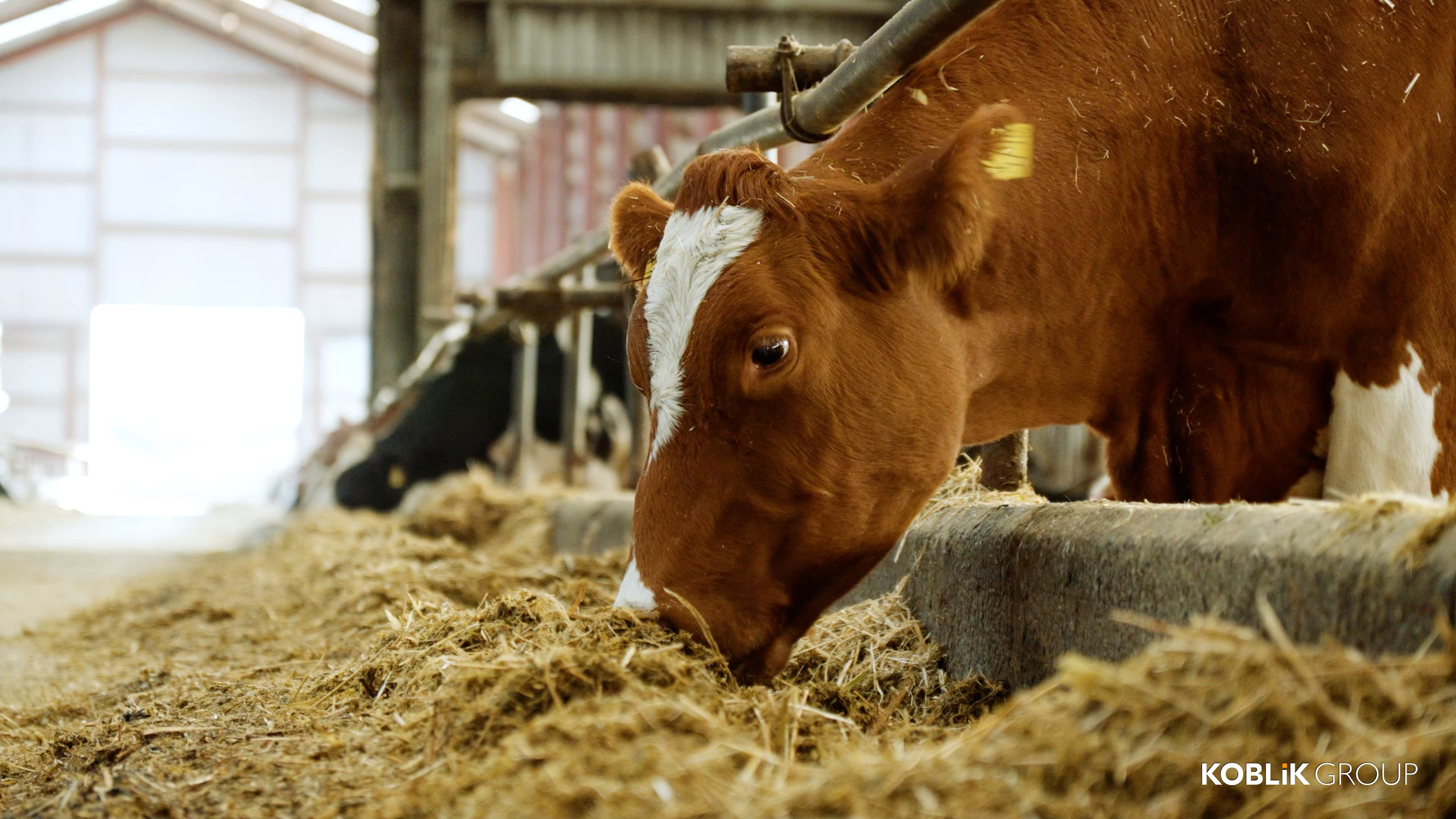 Фото и видео съемка мероприятий и бизнеса Воронеж