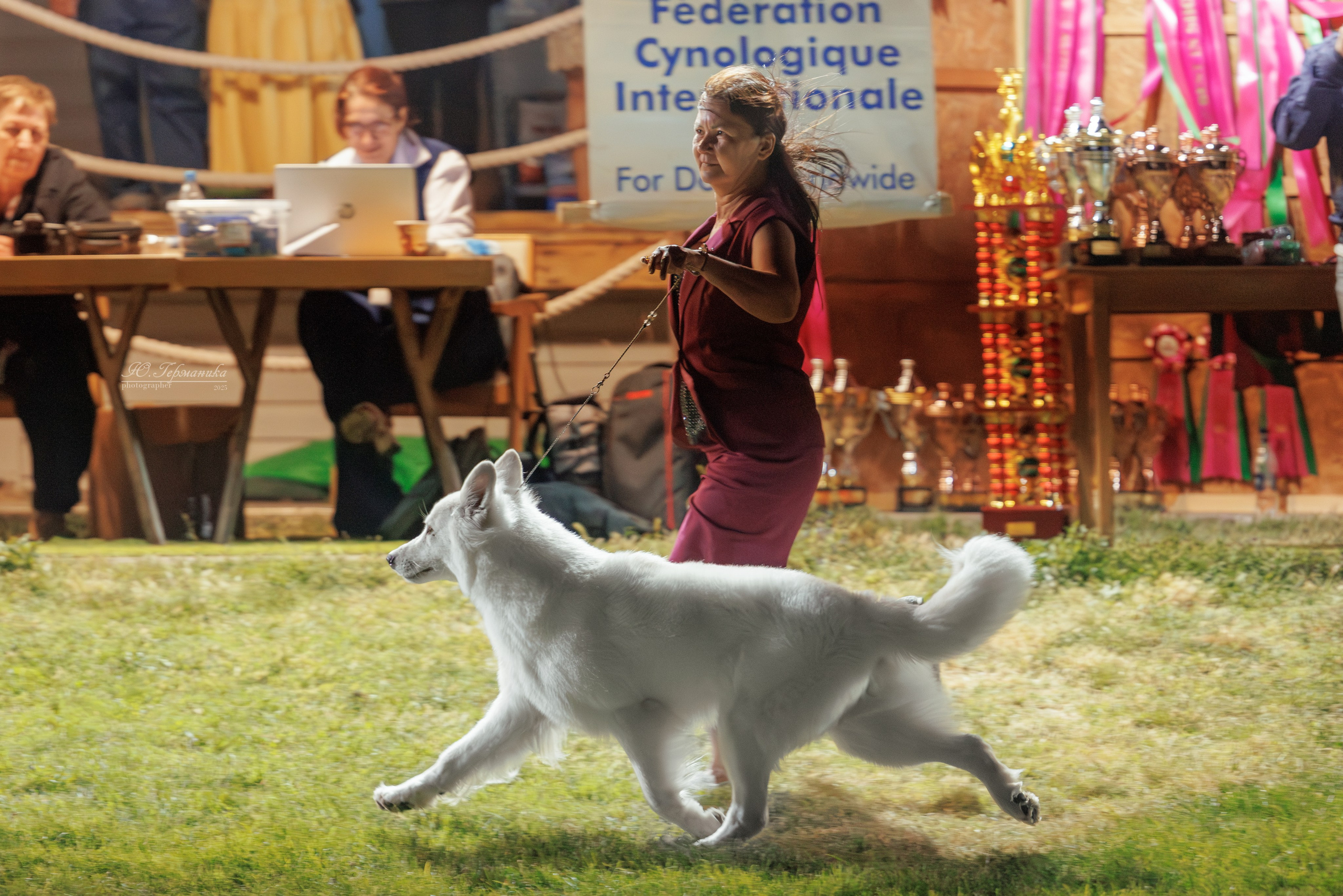 Ереван 3хCACIB 23-25.06.2025. Фотограф-анималист Юлия Германика