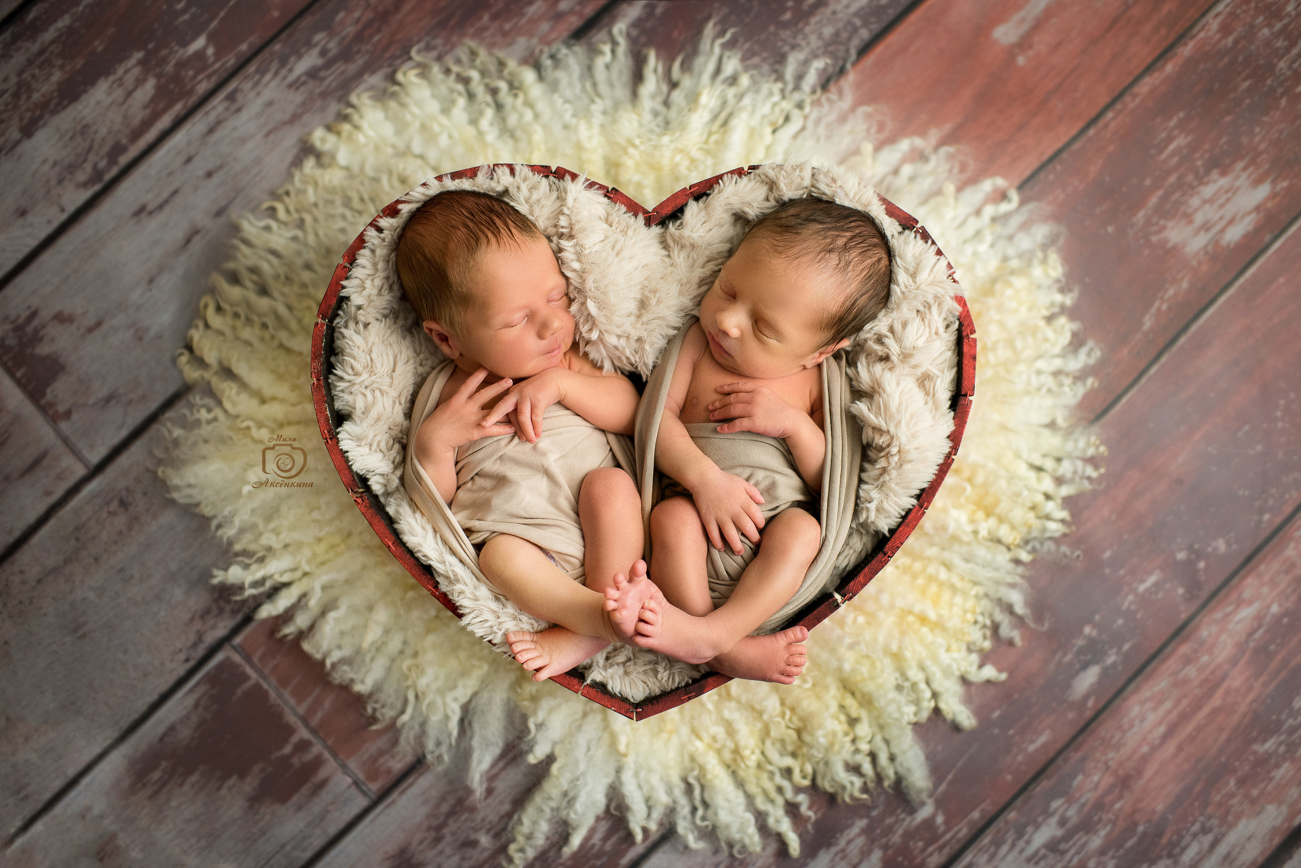 Портфолио новорожденных. Фотограф в Нефтеюганске Мила Аксёнкина