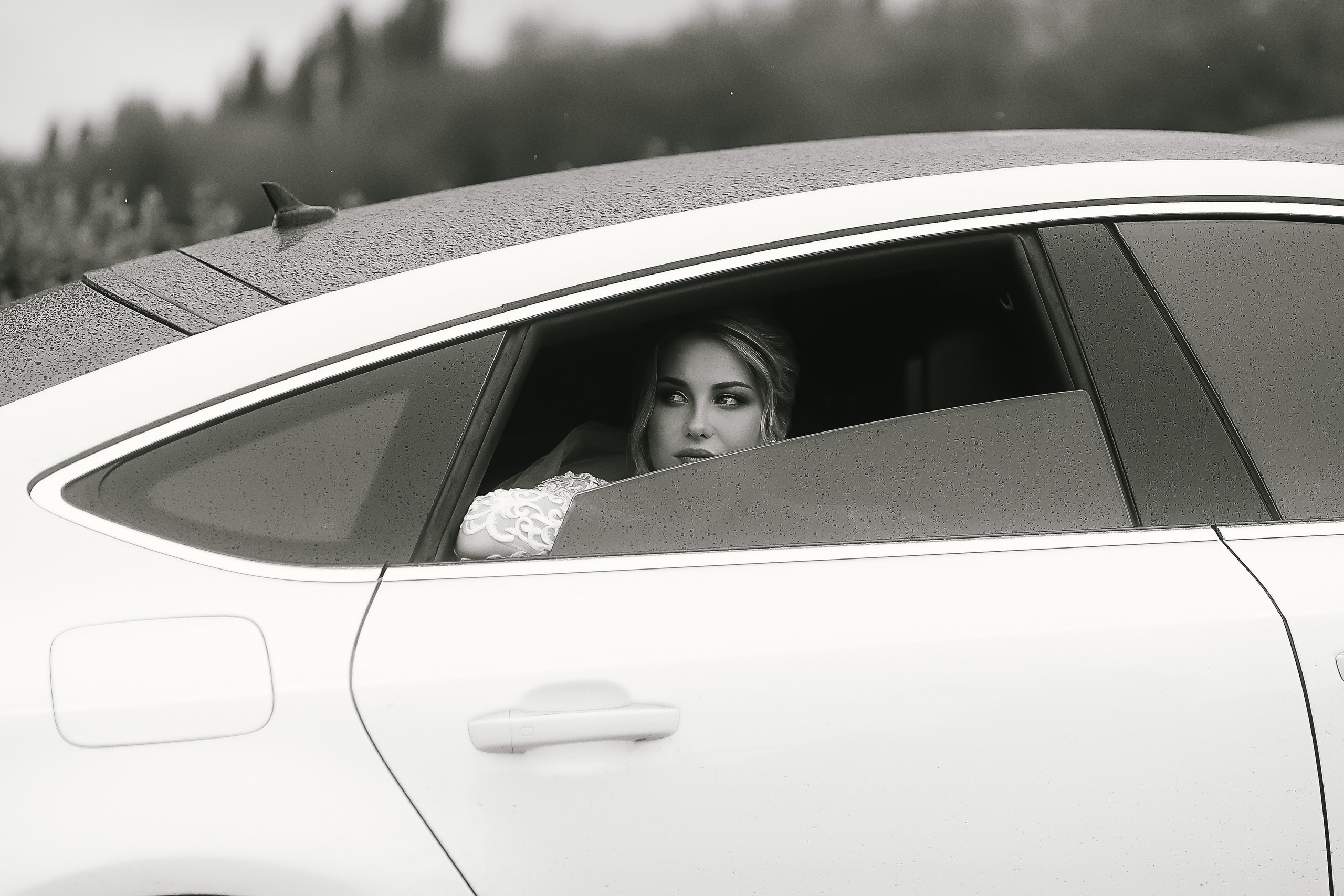 Свадьбы — прогулка. Главная