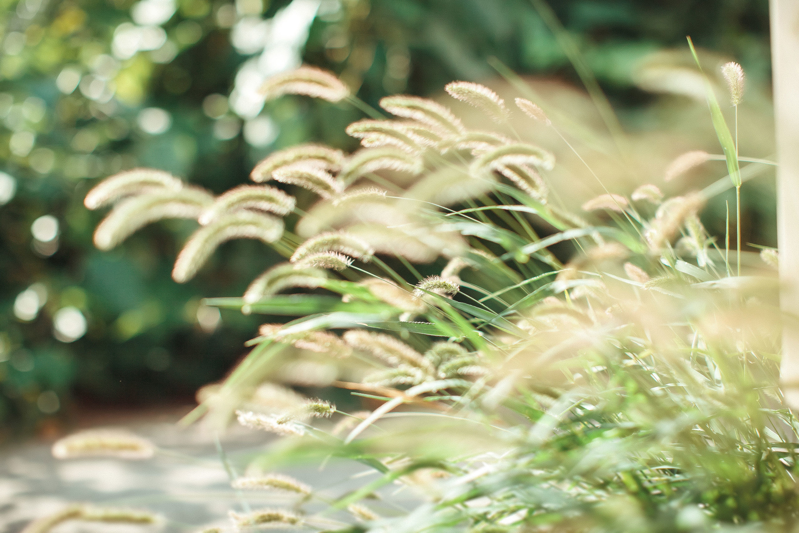 Фотосъёмка беременности в Сызрани. Свадебный, семейный и школьный фотограф в Сызрани Максим Баталов