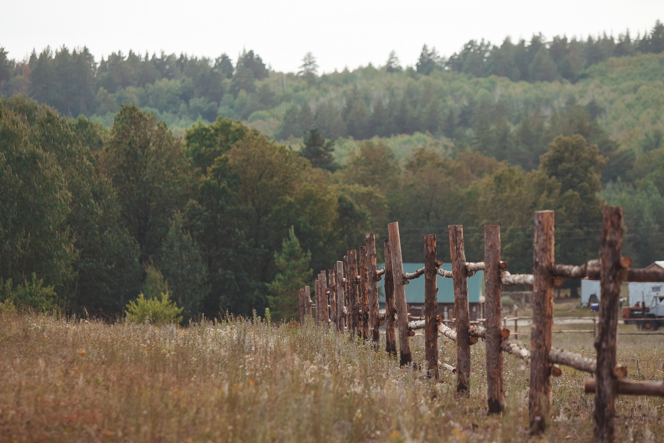 Фотопрогулка. Свадебный, семейный и школьный фотограф в Сызрани Максим Баталов