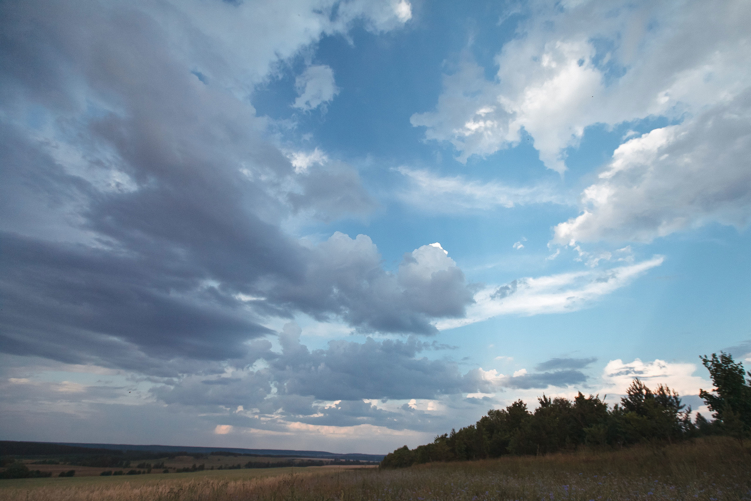 Фотопрогулка. Свадебный, семейный и школьный фотограф в Сызрани Максим Баталов