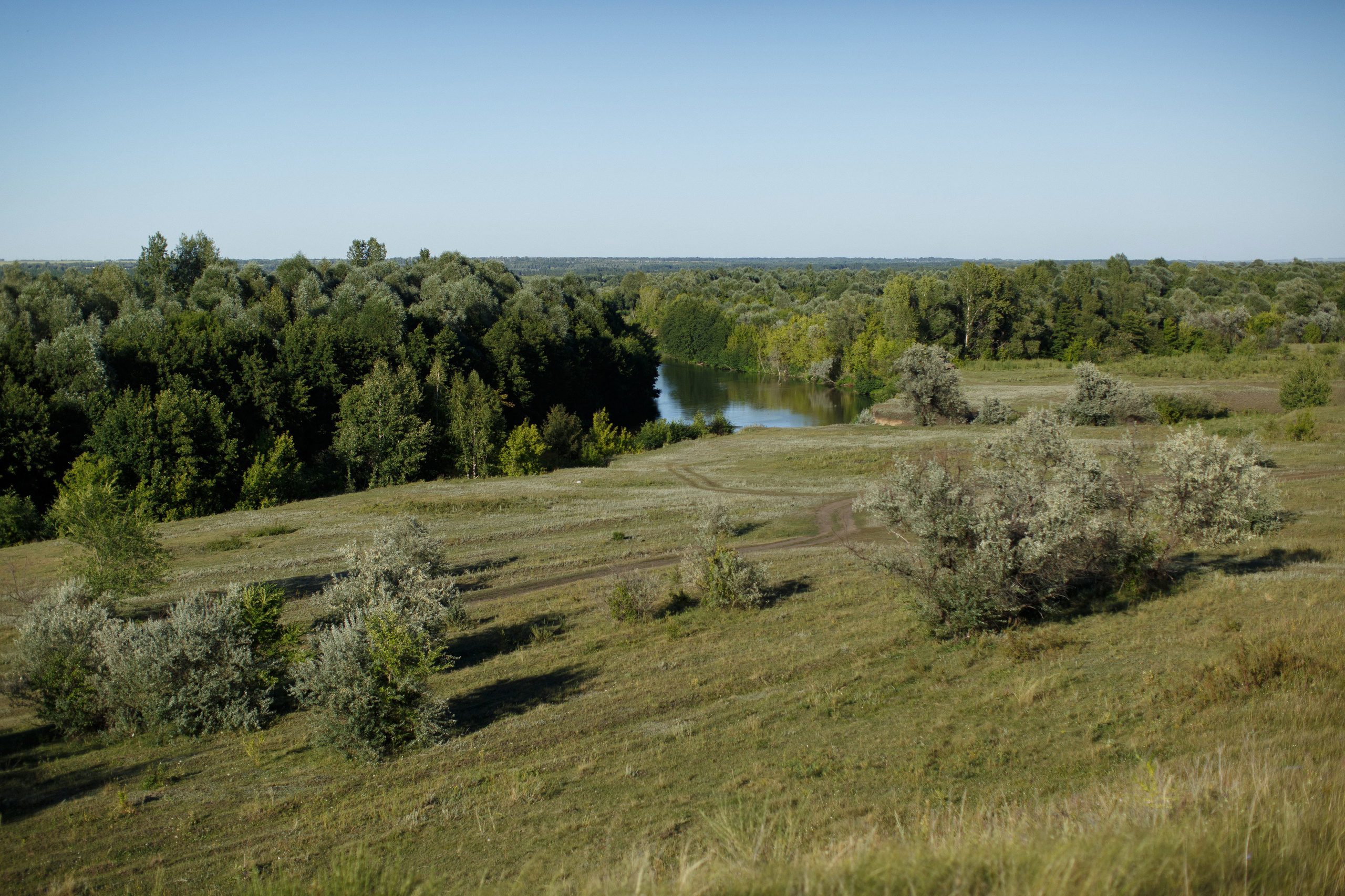 Семейные фотосессии на природе. Свадебный, семейный и школьный фотограф в Сызрани Максим Баталов
