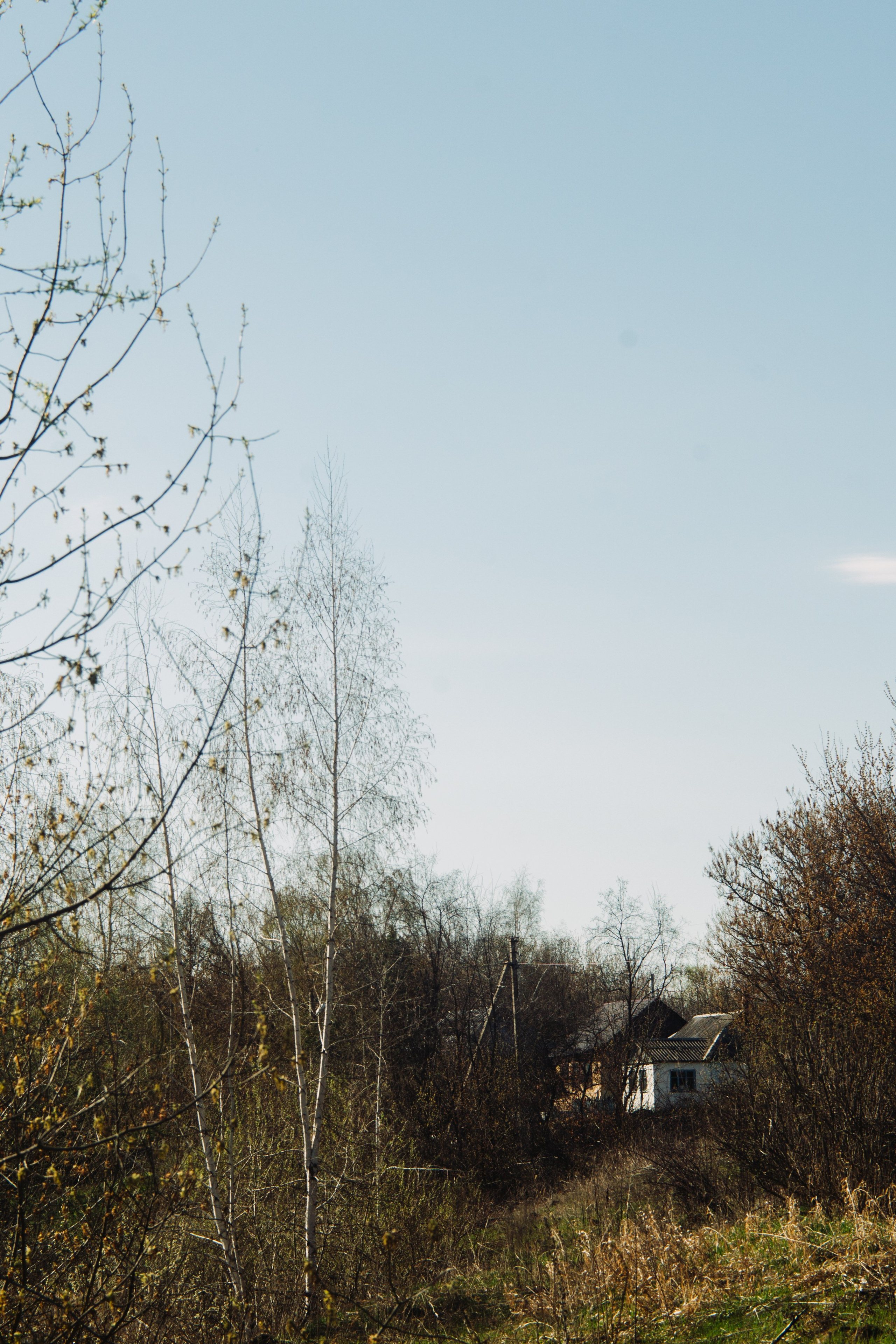 Орановка. Репортажный и портретный фотограф в Липецкой, Воронежской, Московской области Тёма Белоусов