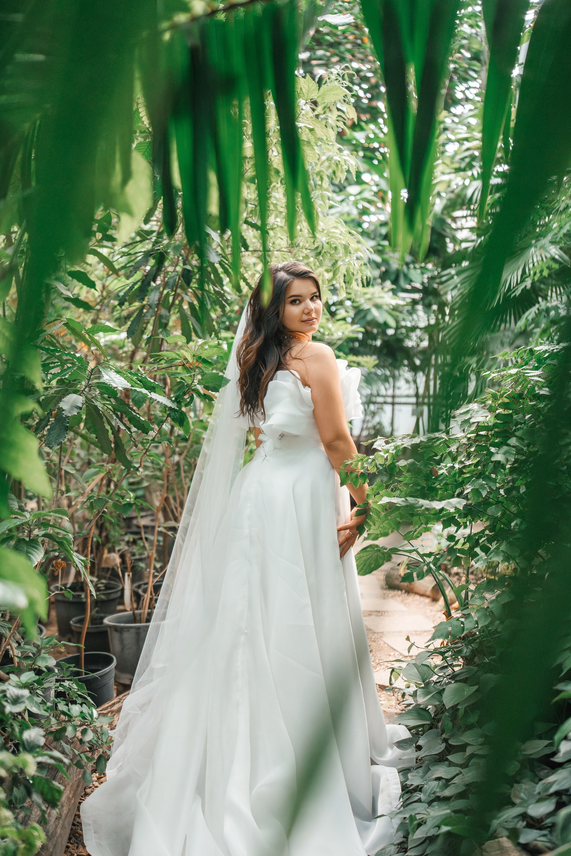 Свадебная фотосессия в оранжерее Ботанического сада им. Цицина. Свадебный и репортажный фотограф-видеограф Москва и Московская область