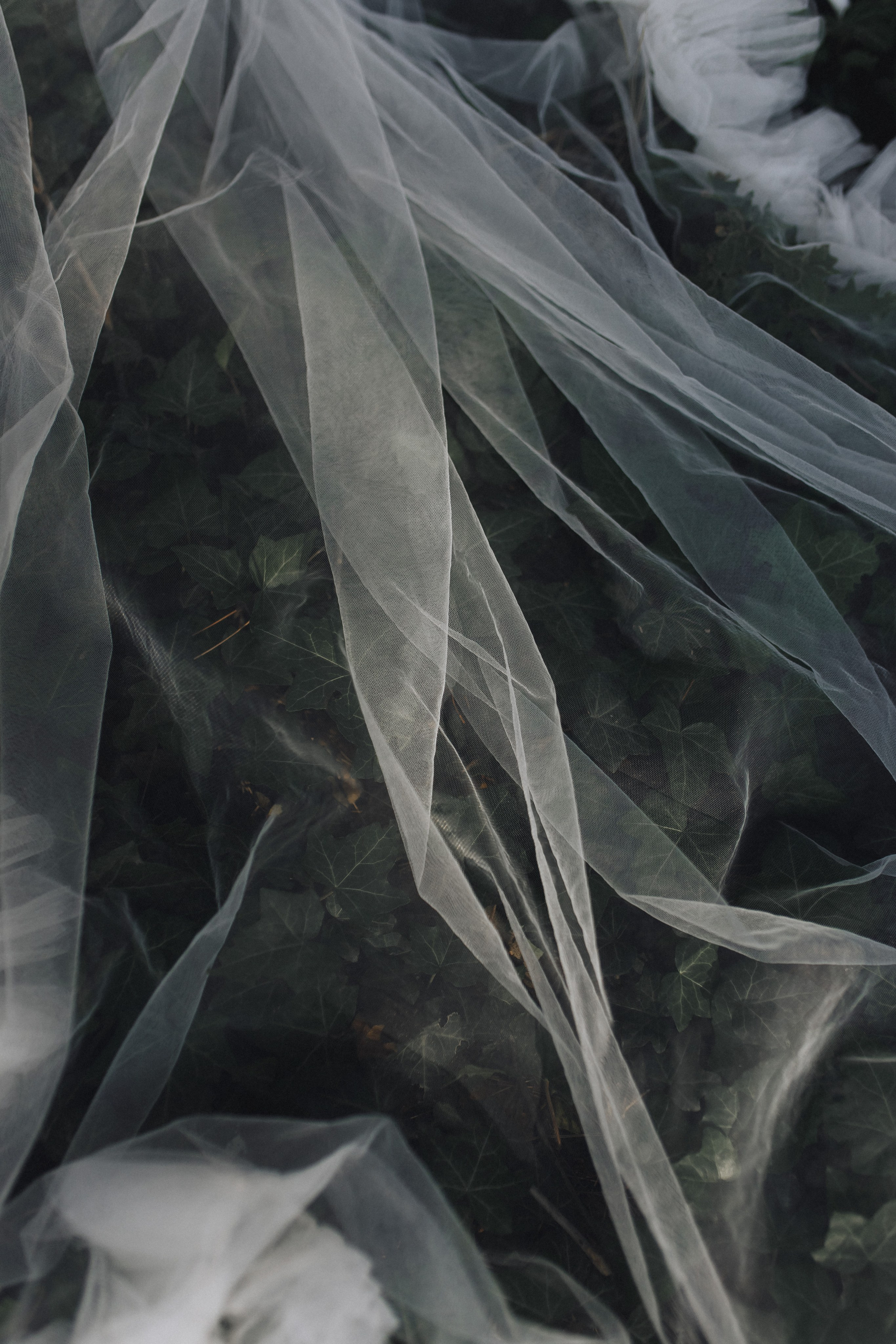 Susanna & Grigoriy. Свадебный фотограф в Севастополе и Крыму| Tanya Sher