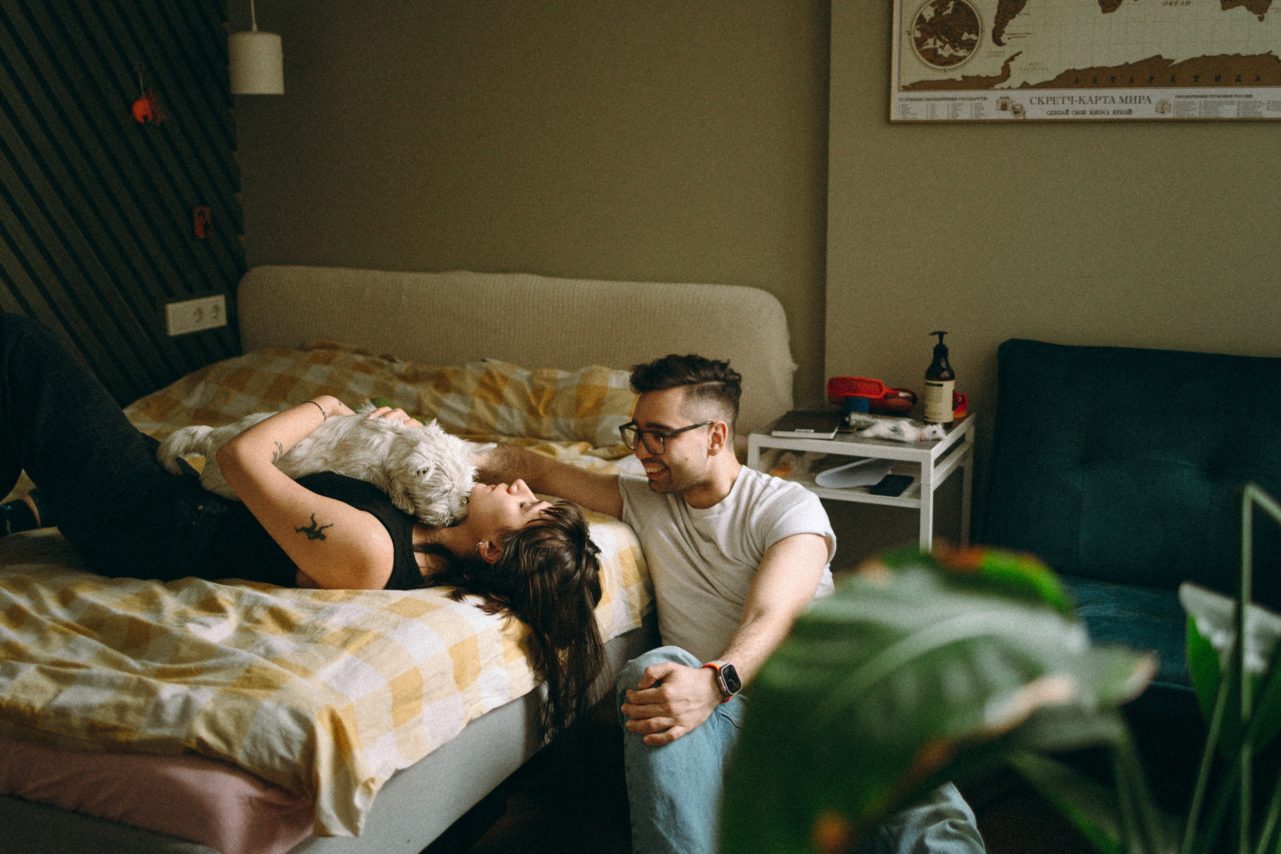 Снежуля, Мари и Саша. Фотограф анималист Анастасия Пикей