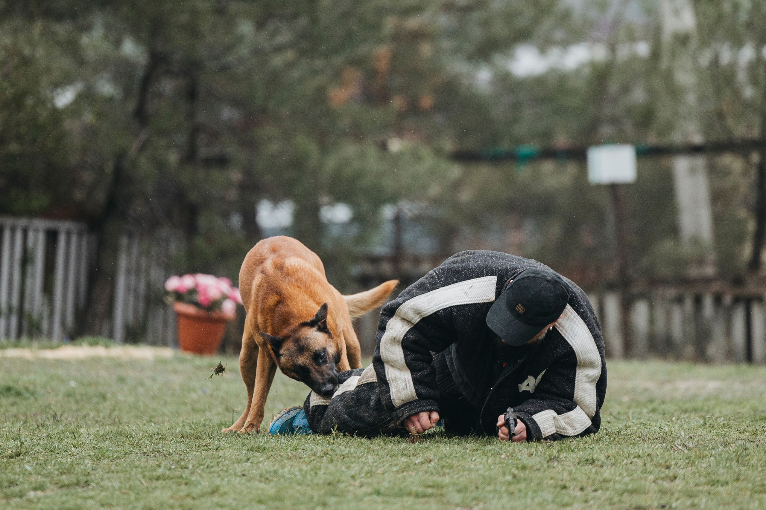 Геленджик Мондьоринг. Фотограф-анималист Анна Маринич