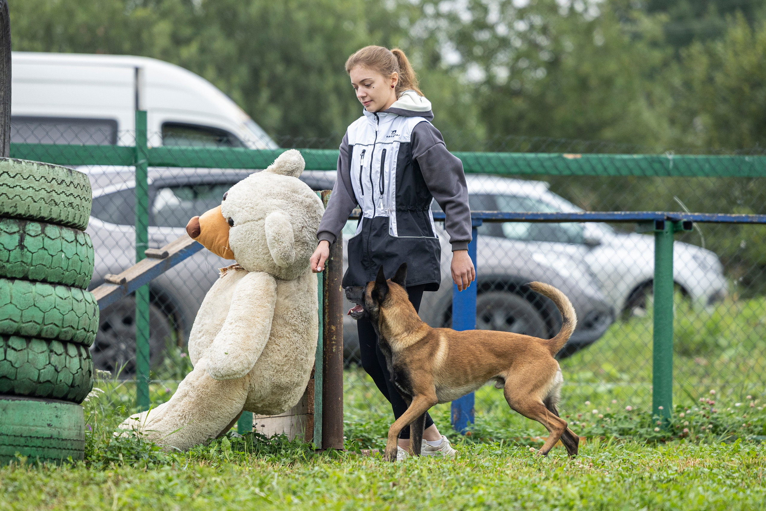 Соревнования по Мондьорингу г. Вологда 10-11.08.2024. Фотограф-анималист Анна Маринич