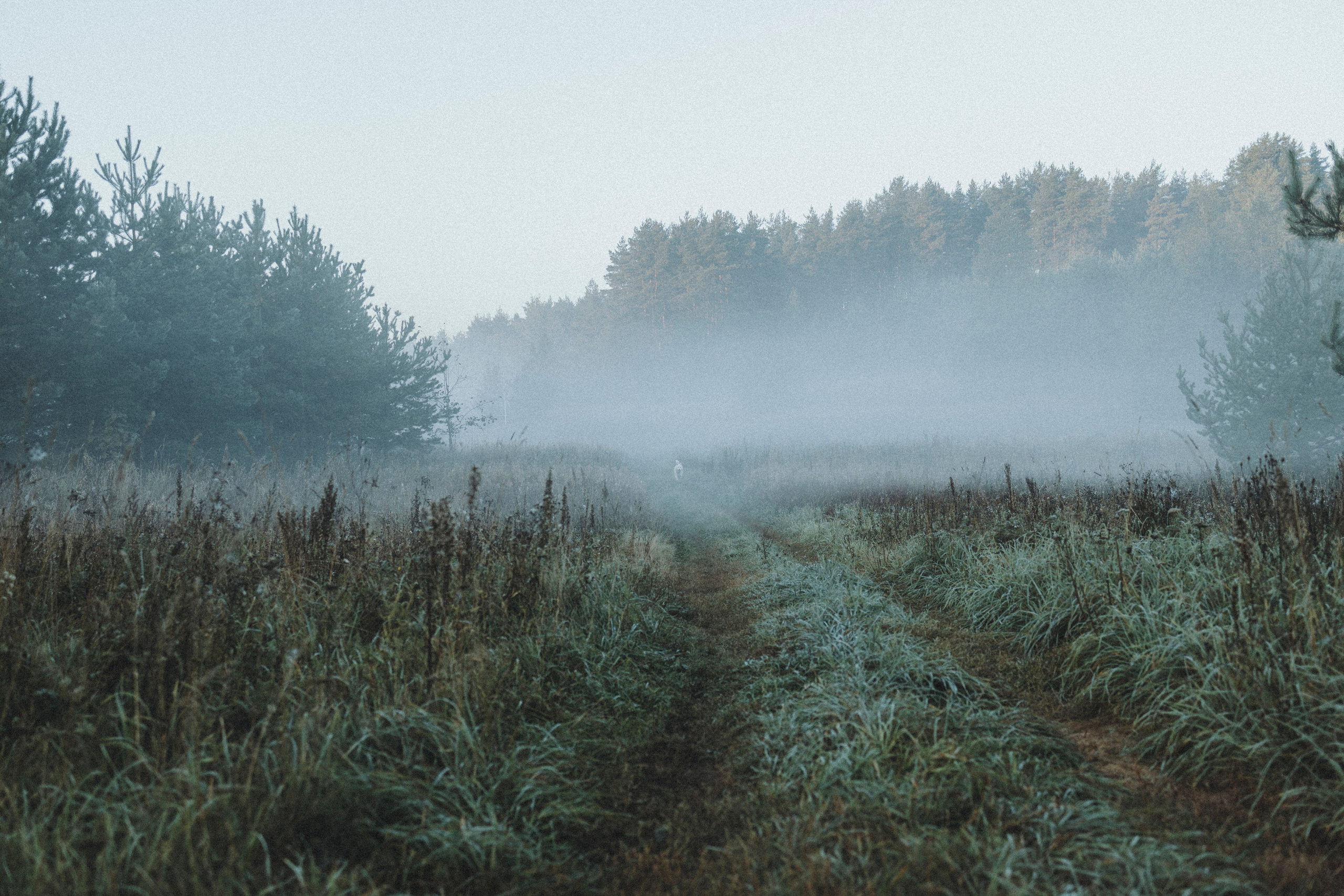 Света и Ричик. Фотограф-анималист Анна Маринич