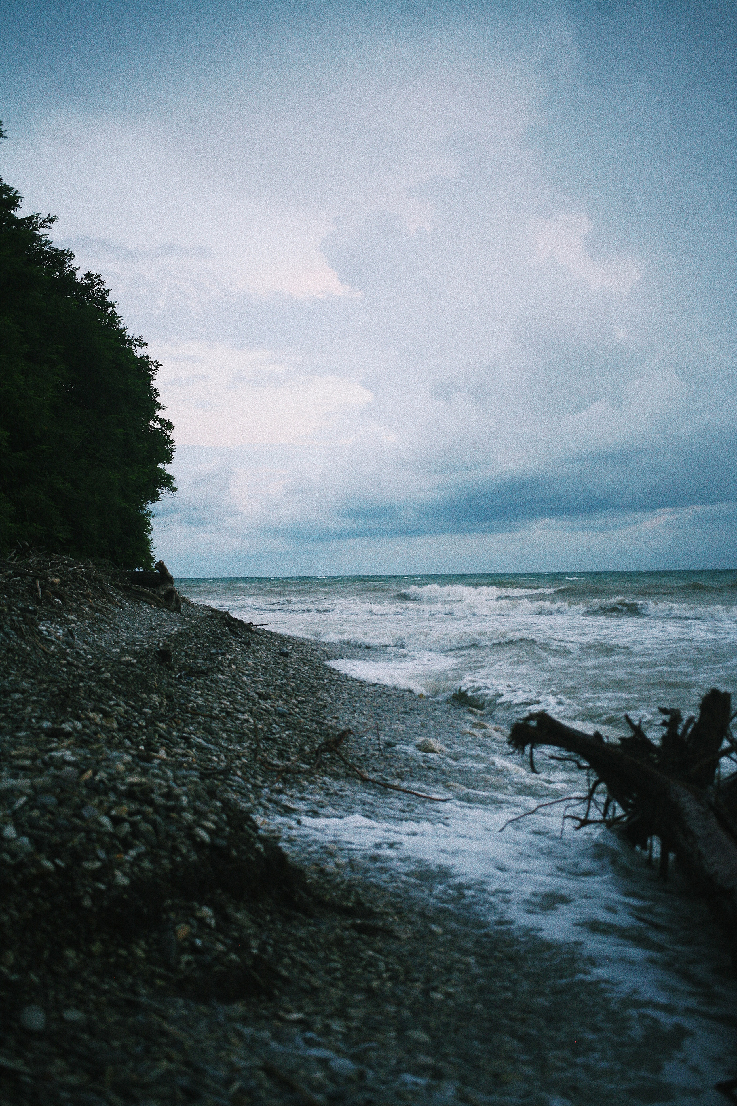 S. Фотограф Екатерина Максимова: семейные, индивидуальные съемки, свадьбы