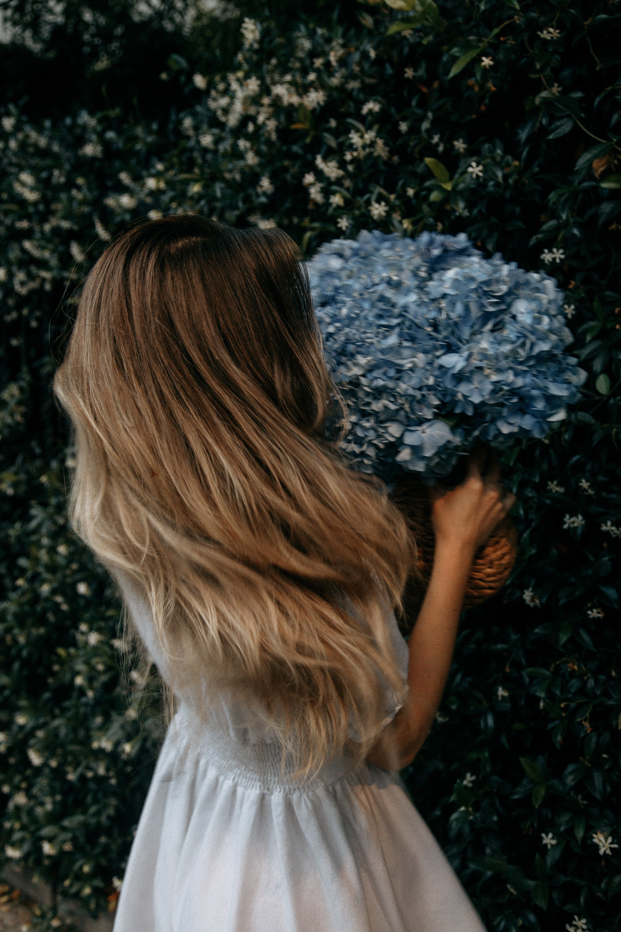 Фотосессия с гортензиями в Батуми