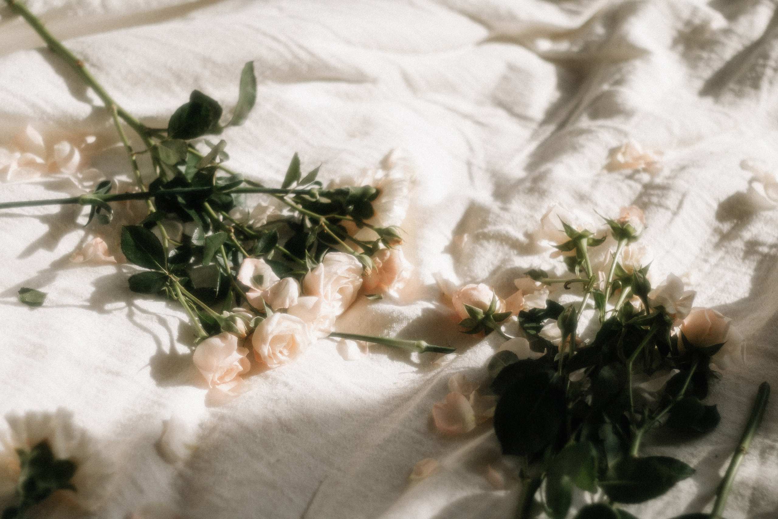 Маленькая София в цветах и лучах декабрьского солнышка. Фотограф в Крыму | Виктория Нотевская