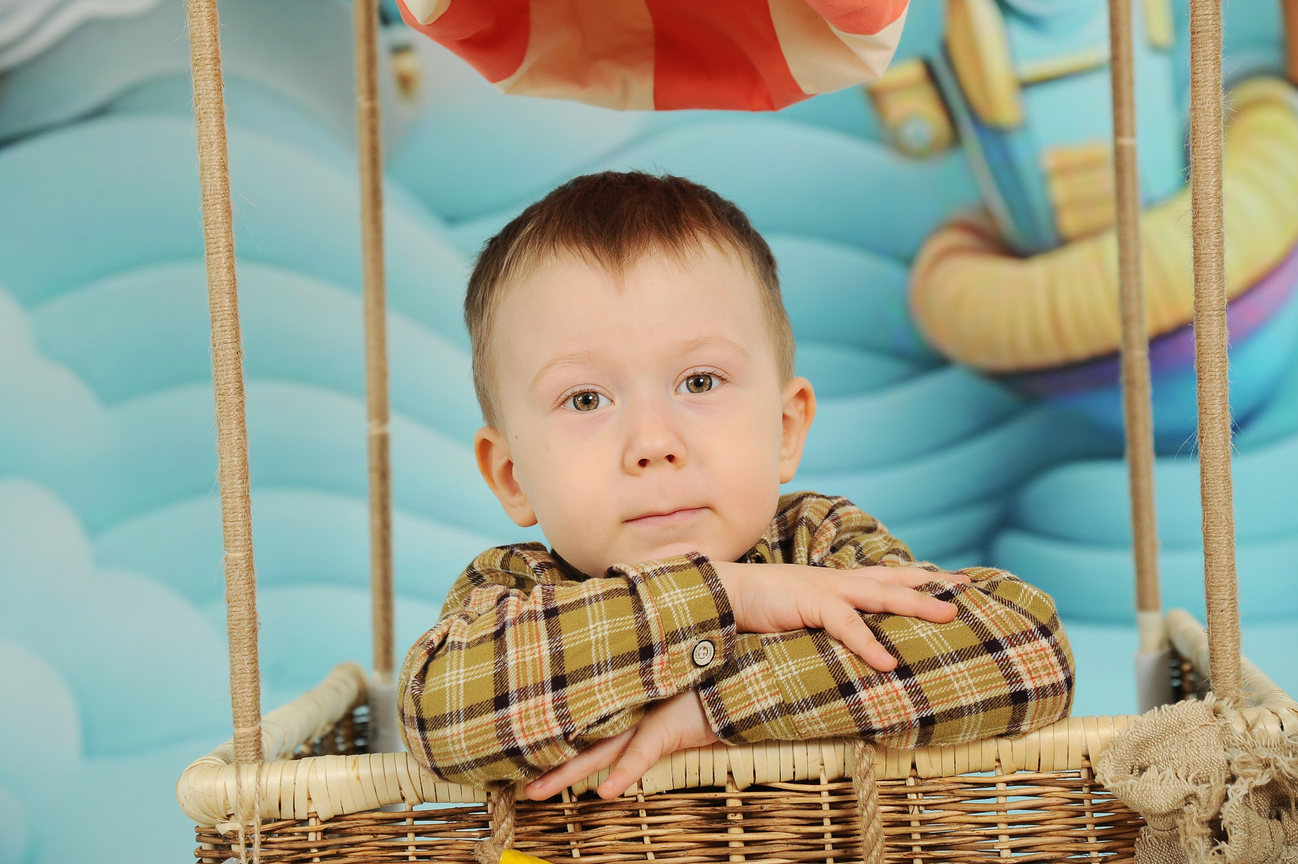 Аэро 25. Новогодний лес