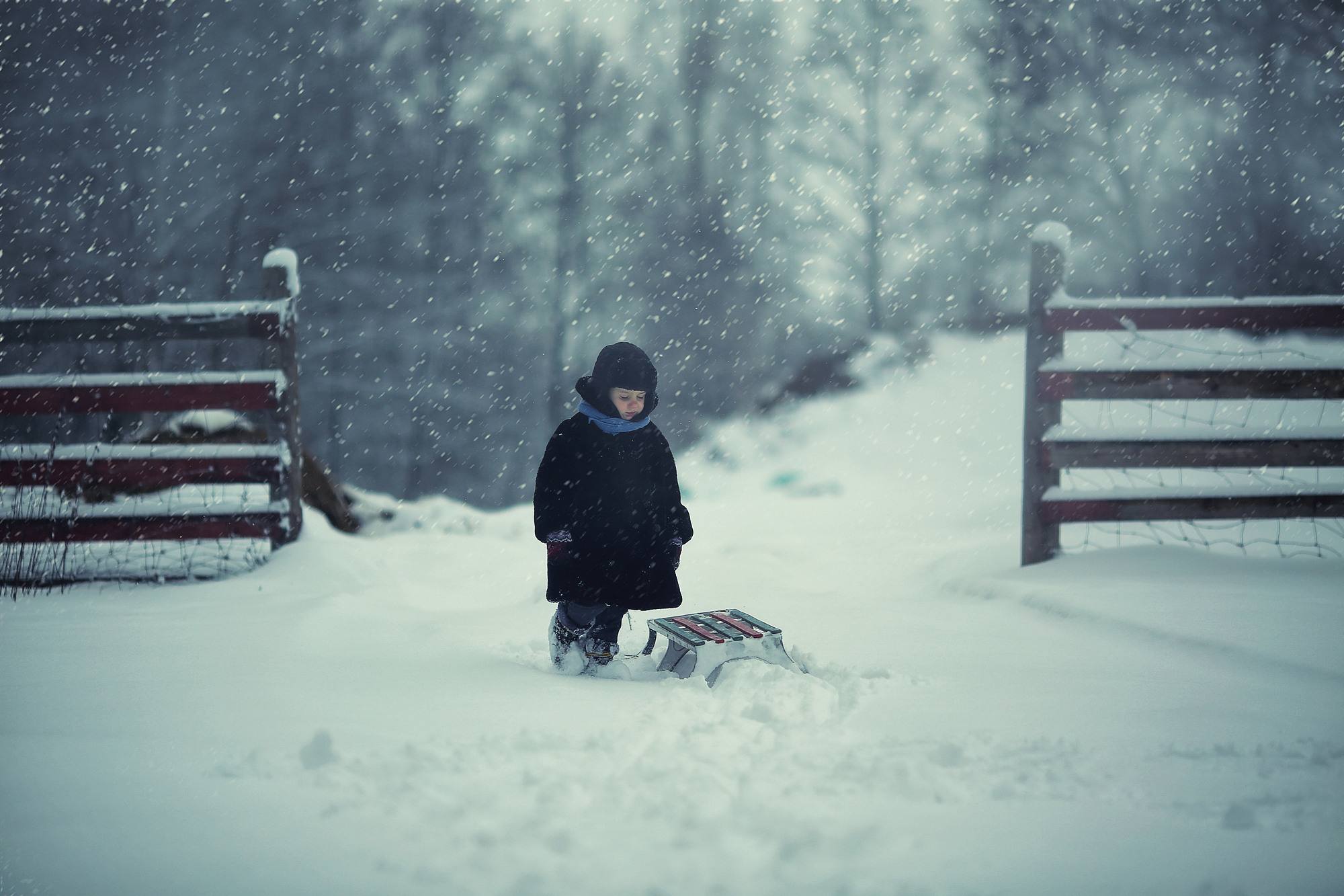 Дети. Фотограф Минск Юлия Войнич