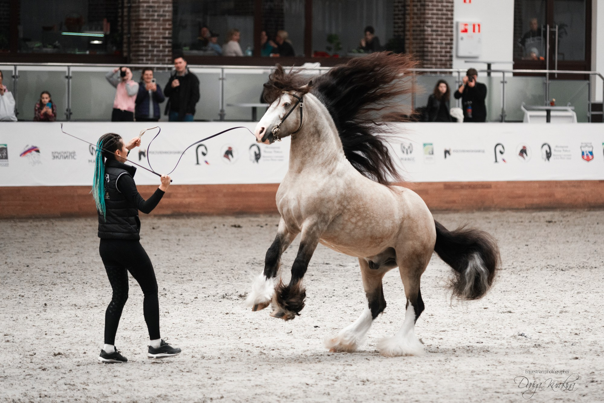 8-я международная выставка Конная Россия. Конный фотограф Куракина Дарья • Фотосессии с лошадьми