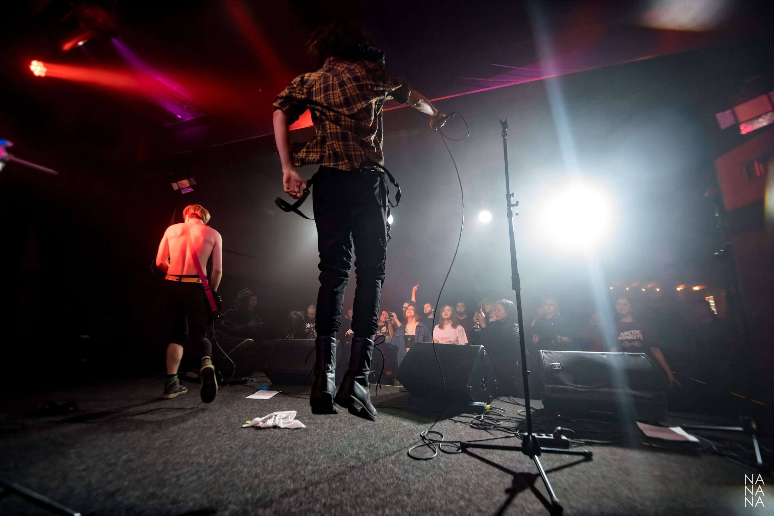 PINK HORSE. Фотограф Елена Богачева (lenalena_na_na_na)