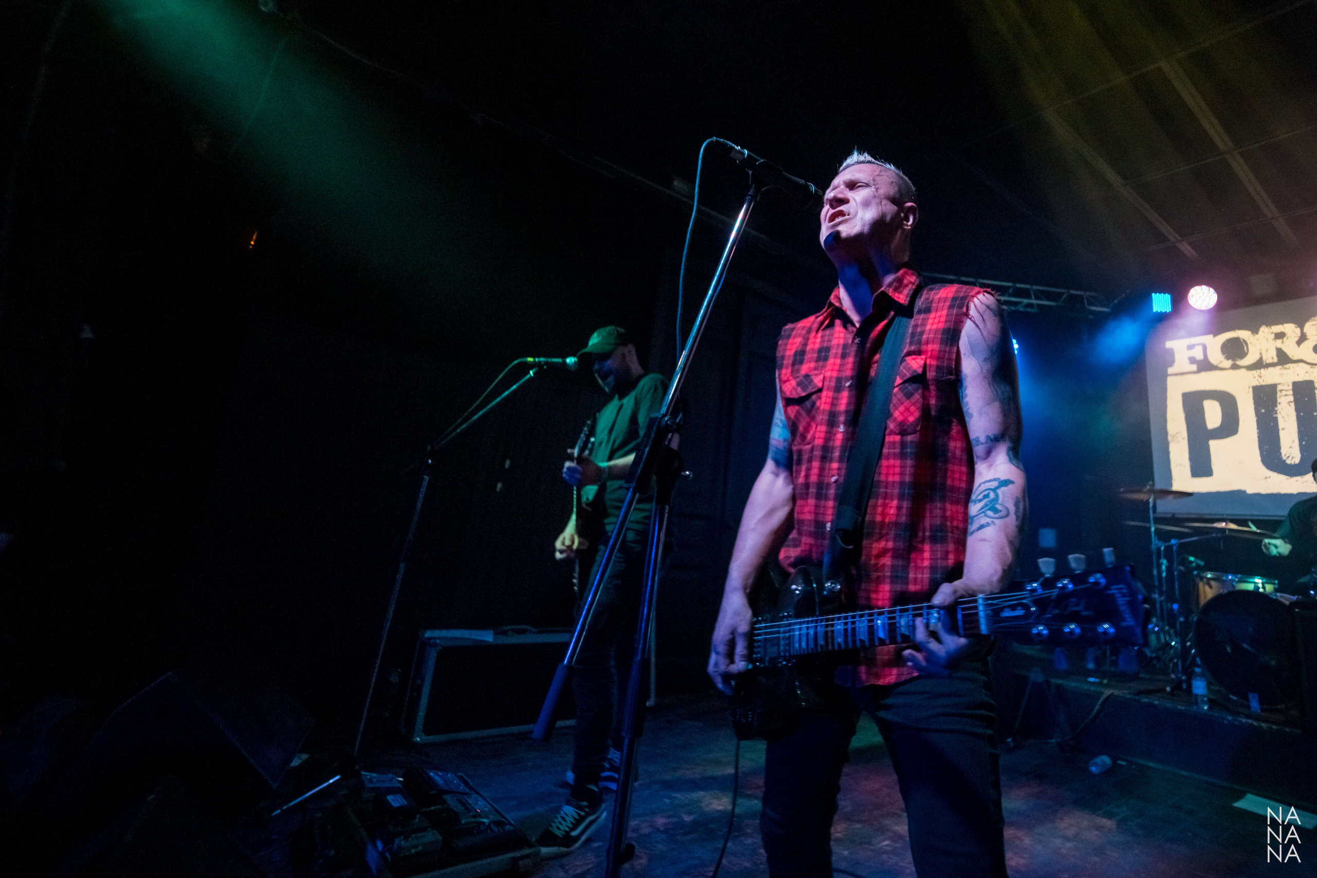 FOREVER PUNK FEST. Фотограф Елена Богачева (lenalena_na_na_na)