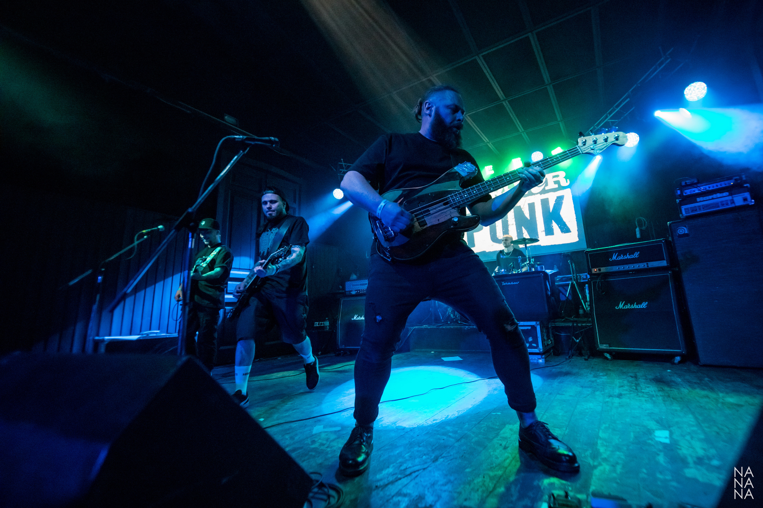 FOREVER PUNK FEST. Фотограф Елена Богачева (lenalena_na_na_na)