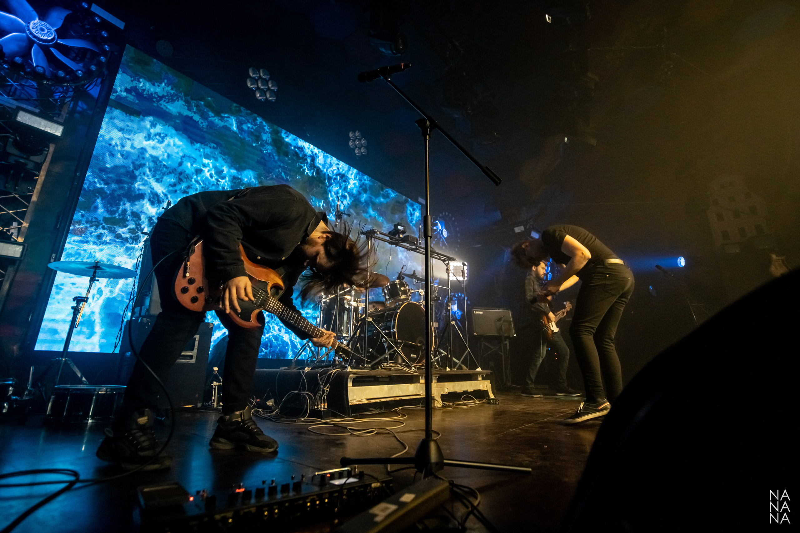 CUTE. Фотограф Елена Богачева (lenalena_na_na_na)