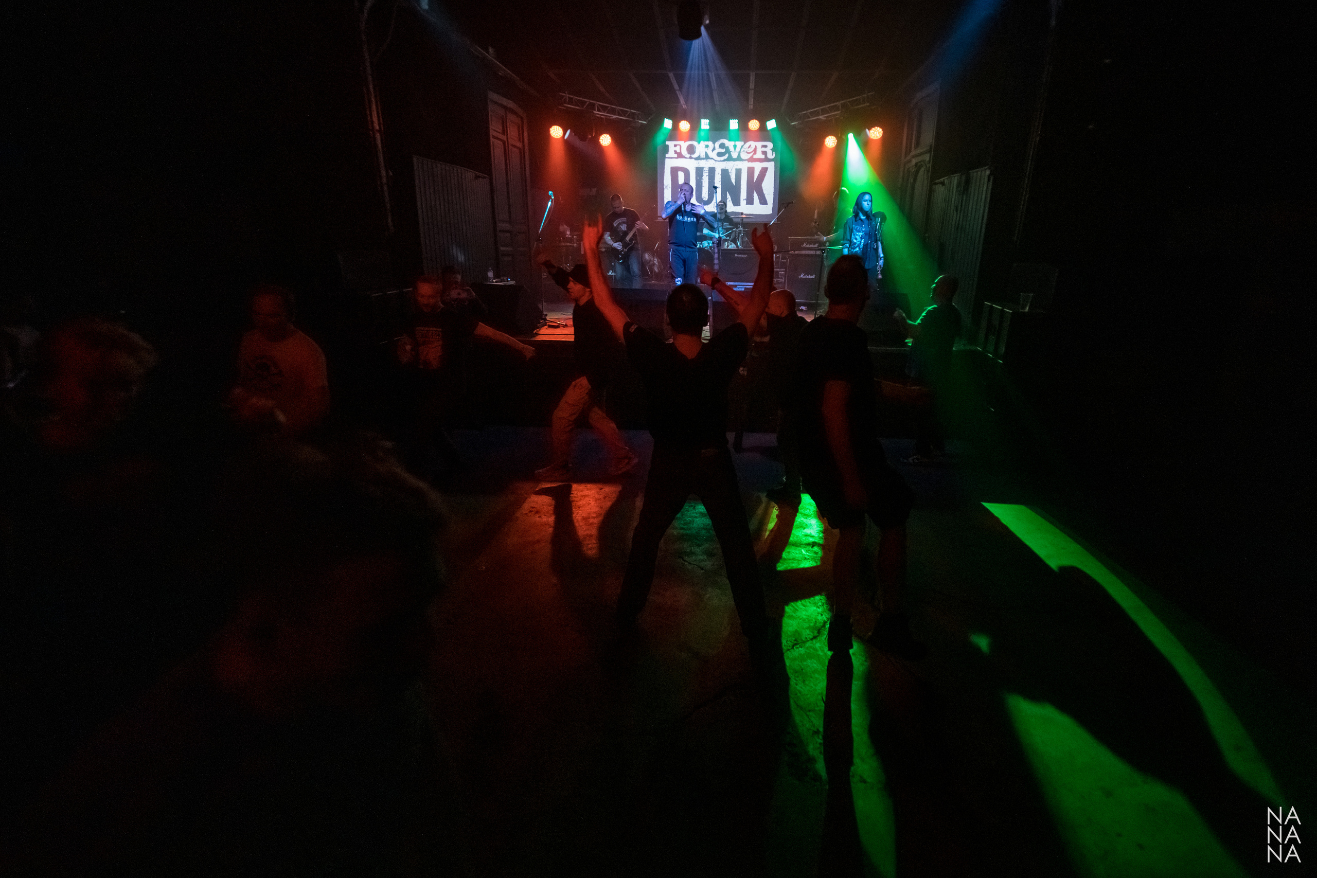 FOREVER PUNK FEST. Фотограф Елена Богачева (lenalena_na_na_na)